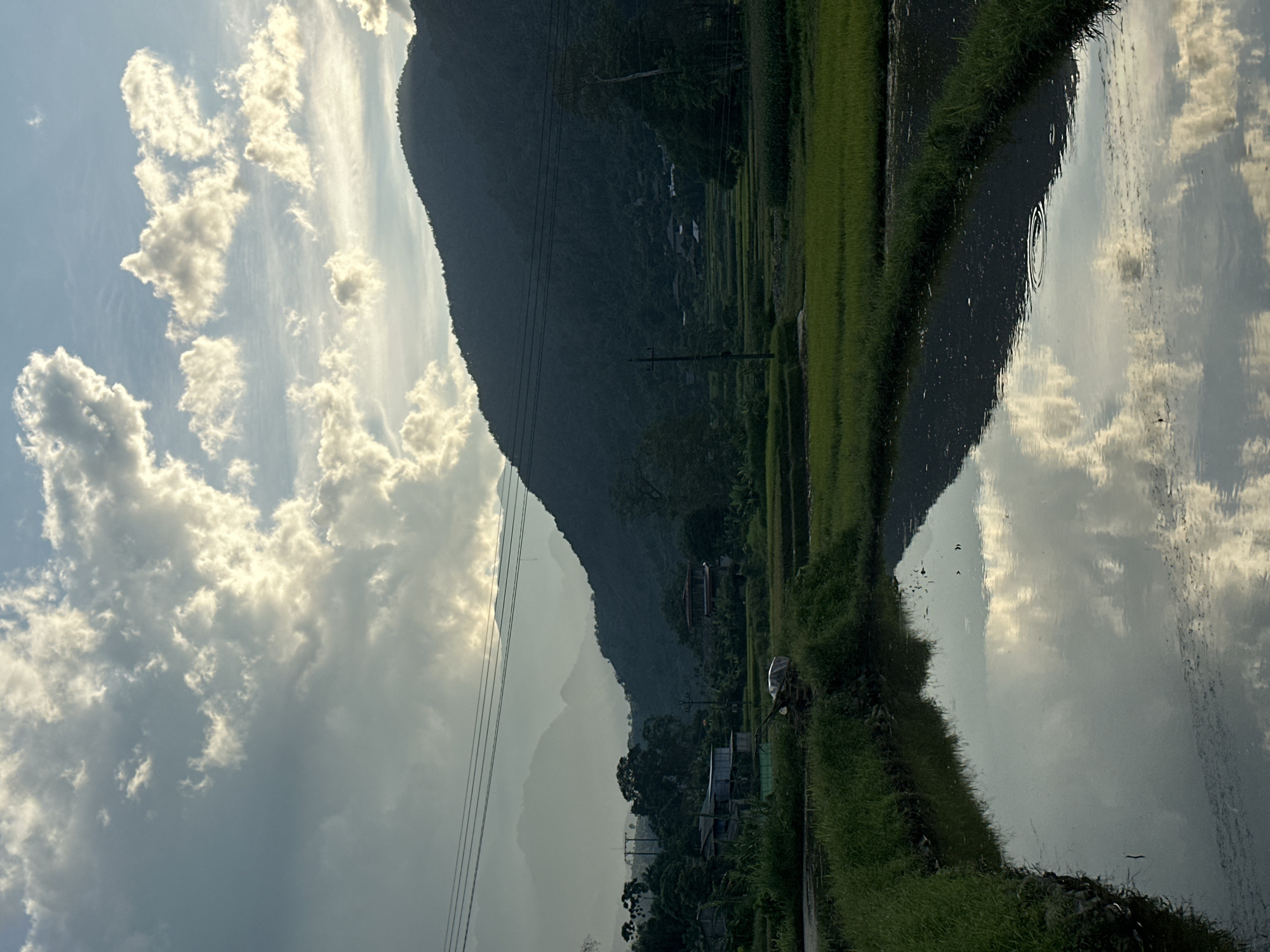 The image depicts a rural or semi-rural landscape in what is identified as Gia Hội, Vietnam, under a sky characterized by dramatic cloud formations. The dominant features include layered mountains, expansive green fields, and a body of water reflecting the sky.
In the upper portion of the frame, a light blue sky is visible, partially covered by numerous, thick cumulus clouds that are brightly illuminated from behind, suggesting a low sun, possibly late afternoon or early morning. The light piercing through these clouds creates bright highlights and a striking contrast with the darker underside of some clouds.
The mid-ground is dominated by a succession of mountain ranges. The closest mountain, occupying the right side, is densely forested and appears dark green, silhouetted against the sky. Further into the distance, additional mountain layers recede, progressively appearing lighter and hazier due to atmospheric perspective.
Below the mountains, a landscape of cultivated fields, likely rice paddies, extends across the mid-ground and foreground. These fields are characterized by vibrant green growth and appear terraced in sections. A significant body of calm water occupies the lower foreground, reflecting the bright clouds and blue sky with remarkable clarity. A small ripple is observed on the water's surface in the mid-right.
Several power poles and multiple horizontal power lines traverse the scene, cutting across the mid-section of the mountains and the sky. On the left side of the mid-ground, a cluster of simple buildings or houses is nestled among trees, indicative of a small settlement. Near these structures, a small, covered agricultural vehicle or piece of equipment is visible on what appears to be a dirt path. Lush green vegetation, including tall grasses, borders the water and the fields. No individuals are present in the image. The overall lighting suggests a serene, hazy atmosphere.