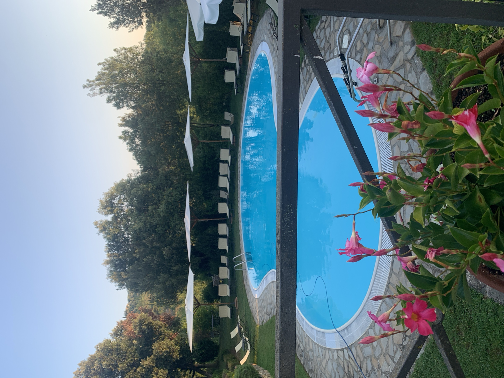 The image depicts an outdoor scene at what appears to be a resort or villa in Castiglione d'Orcia, Italy. Two swimming pools, filled with bright blue water, are the central focus. The larger, kidney-shaped pool is bordered by a stone walkway and surrounded by loungers and large umbrellas with wooden stands. The smaller, circular pool is in the foreground and also has a stone border. Lush green trees and foliage form a dense backdrop to the pools, with some buildings and rolling hills visible in the distance under a clear blue sky. A cluster of pink flowers in a pot occupies the extreme foreground, partially obscuring the view of the smaller pool. There are no people visible in the image. The scene is well-maintained and suggests a tranquil, recreational setting.