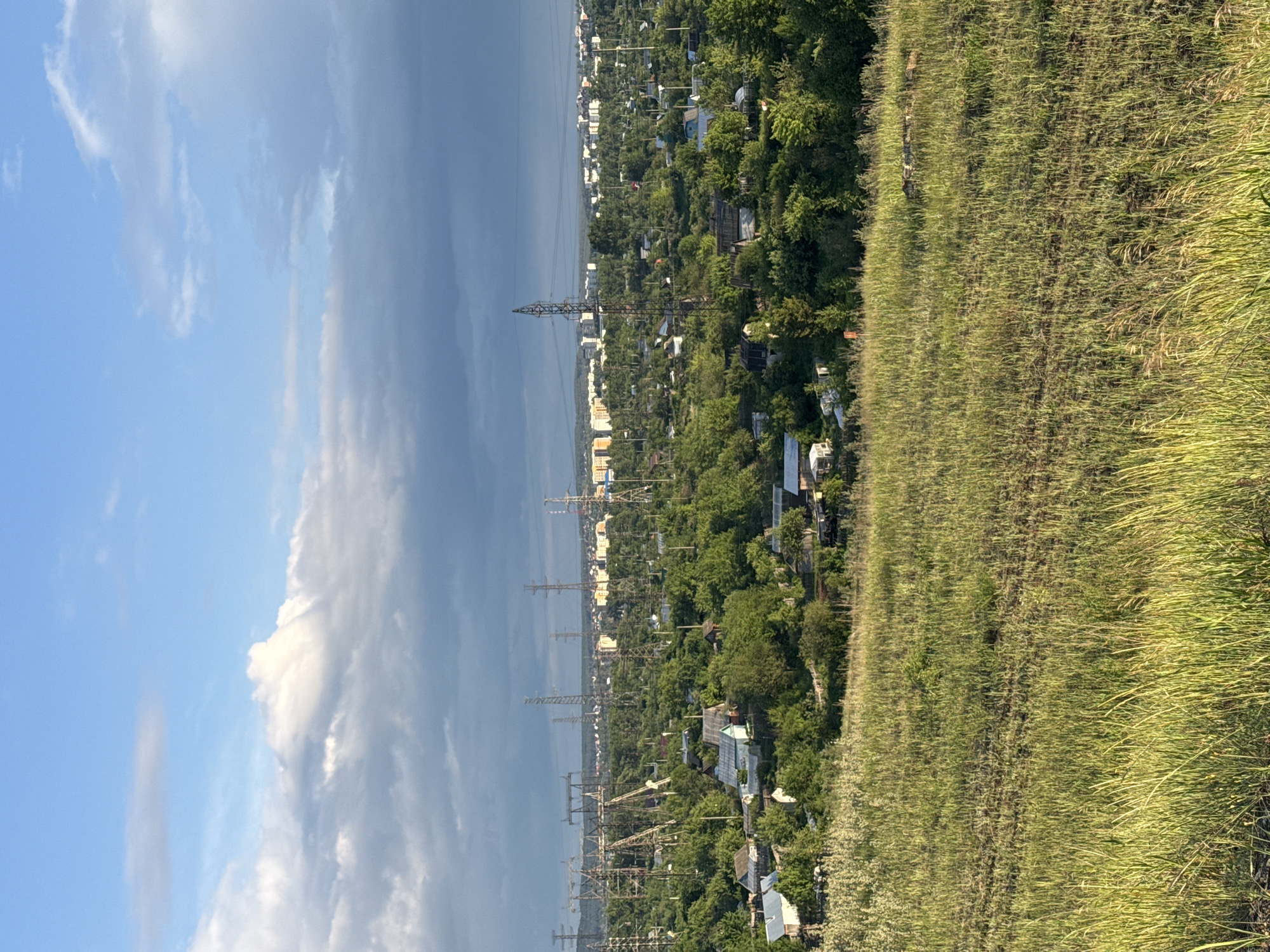 The image depicts an elevated view in or near Chaikovsky, Russia, characterized by a landscape transitioning from foreground grass to a townscape with power lines and then to a water body under a partly cloudy sky. The foreground is dominated by tall, green grass. Moving into the midground, the scene is composed of a mix of residential structures and dense green trees, interspersed with metal electrical towers carrying power lines that stretch across the area. In the distance, a body of water, possibly the Kama River, is visible under a sky divided between patches of blue sky with puffy white clouds and areas of darker, more ominous clouds. The image is taken from a high vantage point looking down into the town, emphasizing the electrical infrastructure and the mix of nature and development within the area.