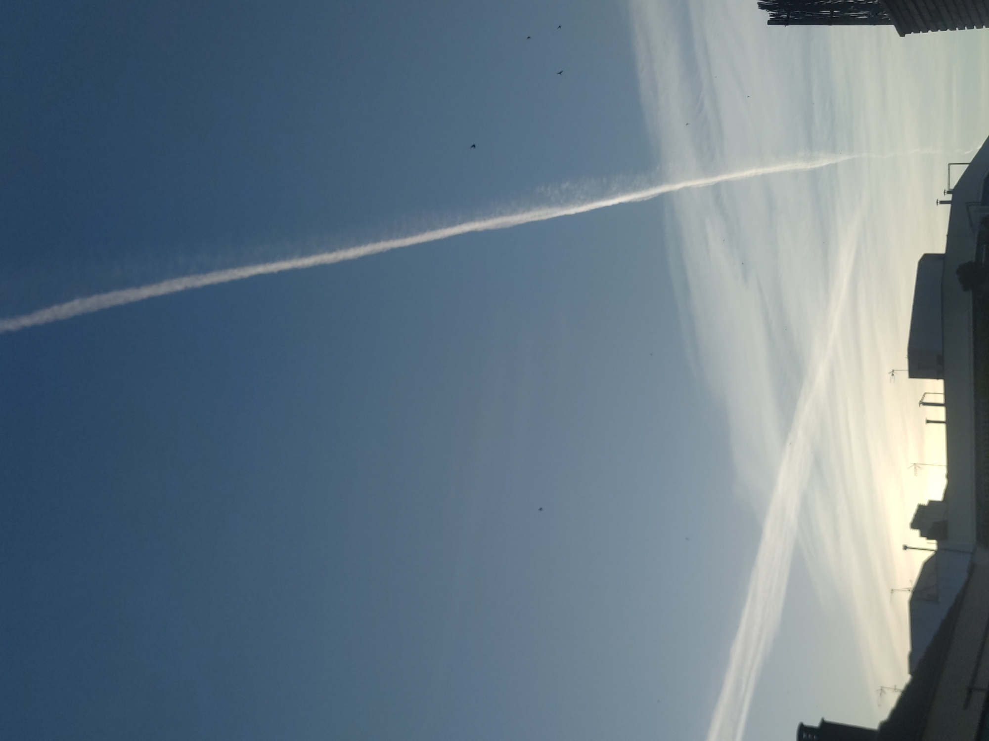 The image shows a bright blue sky with several contrails, indicating airplane flight paths. Some small dark objects that appear to be birds are visible in the sky. Building silhouettes are seen on the right side of the image, suggesting an urban setting. The contrails intersect, creating an "X" shape in the sky. The photograph is tilted.
