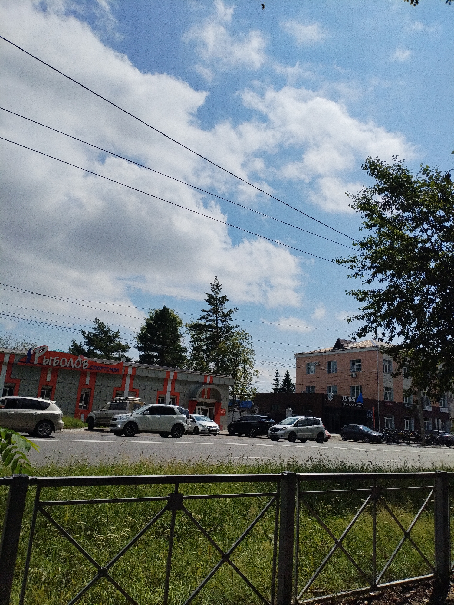 The image captures a street scene in Komsomolsk-on-Amur, Russia, under a partly cloudy sky. In the foreground, a metal fence with a diamond pattern is visible, with tall green grass behind it. A street with several cars driving and parked runs horizontally across the middle of the frame.
On the left side of the street, a building with a red and gray facade is prominent, featuring the Cyrillic text "РЫБОЛОВ СПОРТСМЕН" (Rybolov Sportsmen) in large red letters above the entrance. Several cars are parked in front of this building, including a white SUV and a darker SUV.
Further down the street, on the right side, a multi-story building with a light pink facade is visible. This building has multiple windows and air conditioning units. Below this, a darker building with a sign reading "ТОЧКА" (Tochka) and "PACKAT ZONE" is present. Several more cars are parked along the street in front of this establishment.
Trees, including tall evergreens, are scattered throughout the scene, with a large deciduous tree on the far right providing shade. Overhead, multiple power lines stretch across the sky. The overall impression is a typical urban streetscape on a bright, possibly summer day.