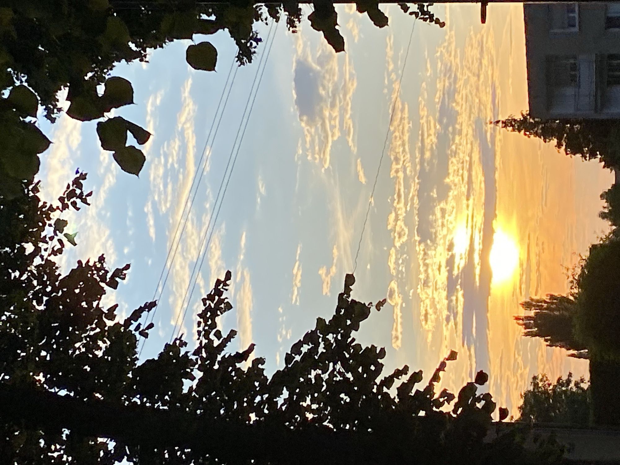 This image captures an outdoor urban landscape at either sunrise or sunset in the city of Buk, Poland. The sky exhibits a prominent bright, circular, orange-yellow sun positioned low near the horizon, dominating the central-lower portion of the frame. The sky's color transitions from intense orange and yellow hues around the sun to lighter yellow, blue, and white tones towards the upper sections. Numerous scattered altocumulus or stratocumulus clouds are present across the entire sky, illuminated in shades of orange, yellow, and white by the low sun. Three dark, parallel utility wires traverse horizontally across the mid-upper portion of the visible sky.
The scene is framed by dark, silhouetted tree branches and dense foliage on the left, right, and top edges, creating an irregular opening through which the sky is viewed. In the lower-mid ground, below the horizon, dark silhouettes of vegetation are visible, including a distinct tall, conical tree with its apex reaching into the illuminated sky. To the lower right, a portion of a multi-story building, appearing light grey and featuring balconies and windows, is partially visible behind trees. A dark, vertical post or slender tree trunk is present on the far right edge of the frame. There are no discernible people or animals within the image.