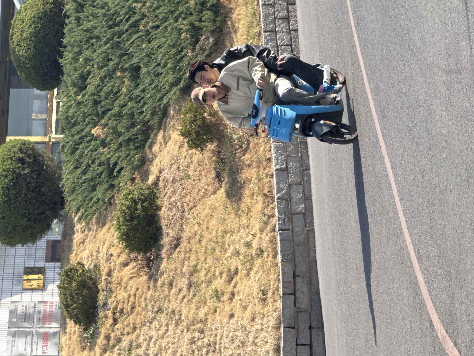 The image, set in Zhongtun, China, captures two young men riding a blue electric scooter on a paved road under bright sunlight. The man in front, wearing a light-colored jacket and a baseball cap, steers the scooter, while the man behind him, dressed in a dark leather jacket, rides as a passenger. The scooter appears to be a shared electric bike, with the brand name "Hello" visible on its front basket.
To the left of the road, a cobblestone or paver border separates the asphalt from a rising slope. This hillside is predominantly covered in dry, light brown grass, interspersed with patches of dark green bushes and coniferous trees, some trimmed into spherical shapes. In the background, part of a building is visible with windows and multiple signs. One prominent rectangular sign features a yellow background with dark Chinese characters. Below it, a white rectangular sign displays several lines of Chinese text, including phrases such as "创新是推动社会发展动力" (Innovation is the driving force for social development) and "实现民族复兴" (Achieve national rejuvenation), which confirm the Chinese setting.
The scene depicts a clear, sunny day, with distinct shadows cast on the road, indicating mid-day or early afternoon. The two individuals appear to be casually enjoying their ride, looking forward. The overall setting combines elements of a campus or semi-urban environment with natural landscaping.