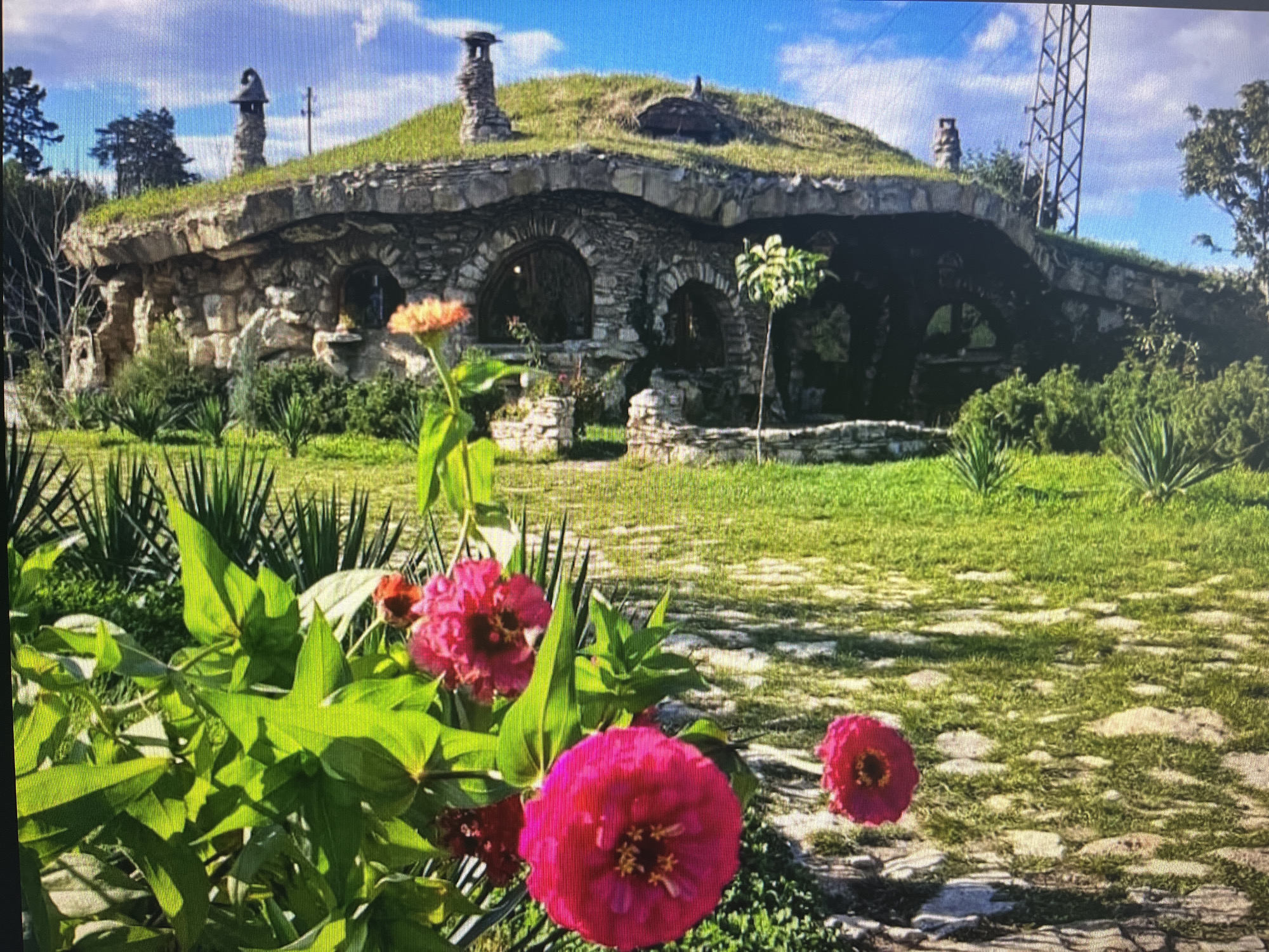 The image displays a unique, earth-sheltered house constructed from stone, seamlessly integrated into a grassy hillside. The dwelling features a "green roof" covered with vibrant green grass, from which several distinctive stone chimneys rise. The front facade of the house is built with irregular stones, incorporating multiple arched windows and entrances that give it a whimsical, almost "Hobbit-like" appearance.
In the foreground, a cluster of lush green leaves and several prominent, bright pink and fuchsia Zinnia flowers are in full bloom, adding a splash of color to the scene. Another lighter orange-colored Zinnia flower is visible further back. The ground in front of the house consists of a well-maintained green lawn interspersed with light-colored, irregular stone paving, suggesting a garden path or courtyard. Various green shrubs and spiky plants are scattered around the base of the house and throughout the garden.
The scene is set outdoors on a bright, sunny day, with a clear blue sky and a few scattered white clouds, suggesting it is either mid-morning or afternoon. No people are visible, and no specific activity or event is taking place; the image captures a static, picturesque landscape. To the right of the house, a tall metal lattice tower, possibly a power pylon, stands against the sky, providing a structural contrast to the organic architecture. This unique architectural creation is located in Varna, Bulgaria, as indicated by the context. No text is visible within the image. The overall impression is one of tranquility, fantasy, and an aesthetic connection to nature.