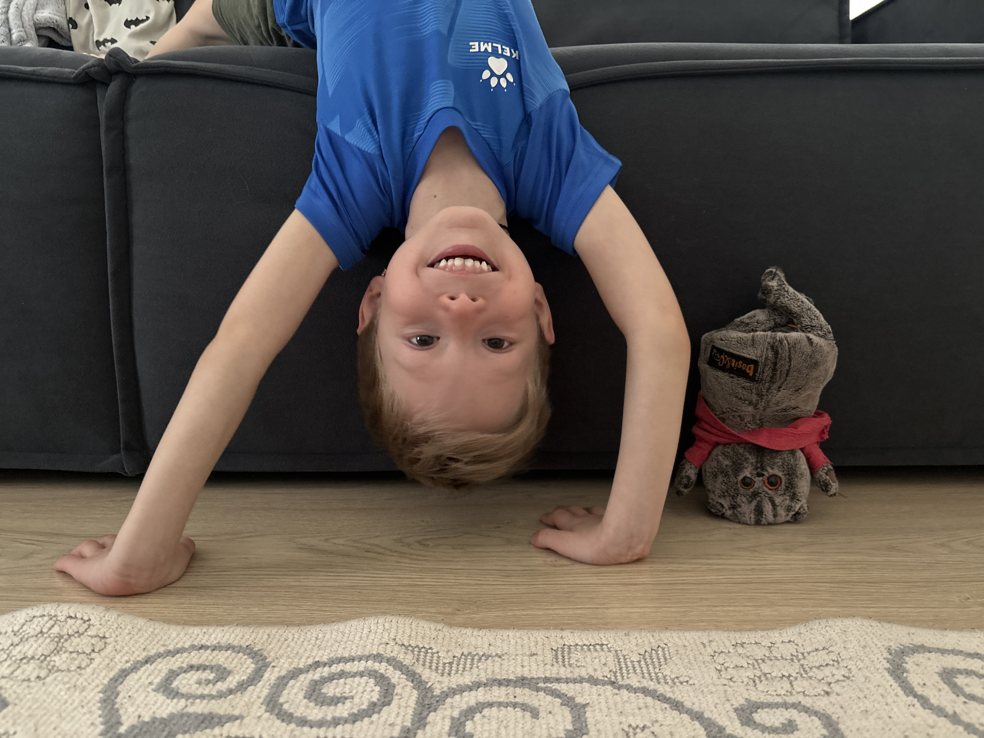 An indoor, low-angle shot depicts a young child playfully hanging upside down from a dark grey sofa. The child, likely a boy with light blonde hair, is wearing a blue short-sleeved t-shirt. Visible on his shirt is the upside-down brand name "KELME" and a paw print logo. He has a wide, joyful smile, with his head positioned centrally in the frame. His arms are extended, supporting his weight on a light wooden floor.
To the child's right, a grey plush cat toy, wearing a red scarf, is also positioned upside down, mirroring the child's playful stance. The brand "Basik&Co" is visible on a tag attached to the toy. The wooden floor transitions into a light-colored rug with a grey swirling pattern in the foreground. In the upper left background, a folded blanket or piece of clothing with a black Batman symbol pattern is visible on the sofa. The scene captures a moment of cheerful play in a domestic setting, likely a living room in a home in Chaikovsky, Russia, during the daytime.