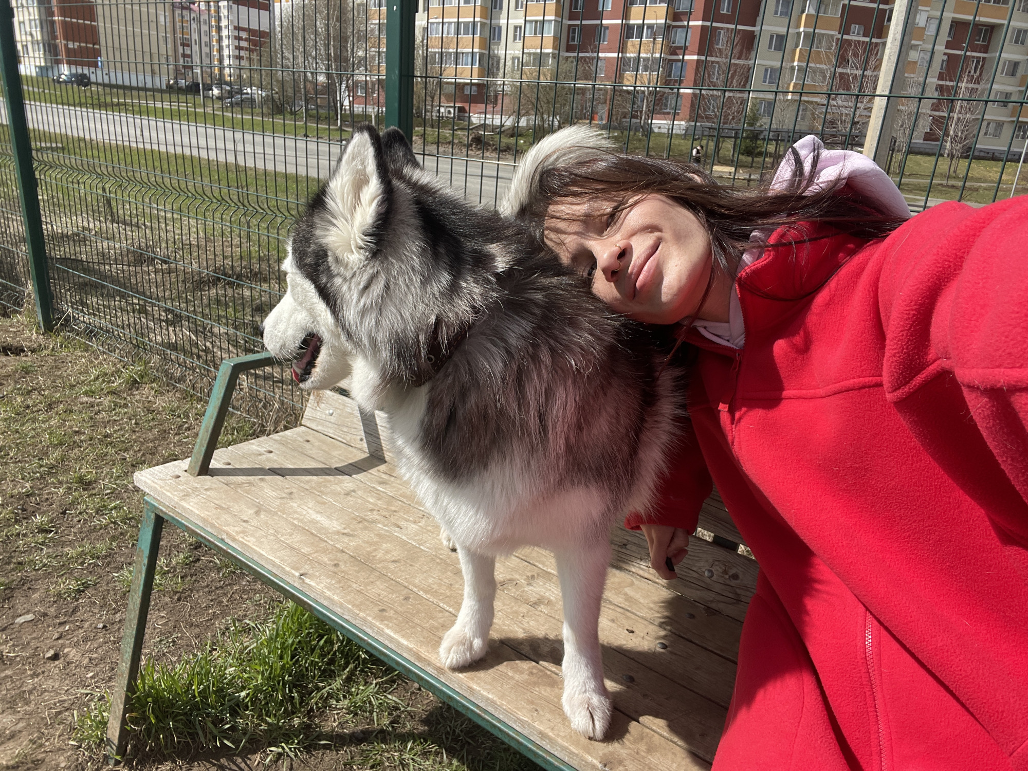 A woman and her husky dog are captured in a close-up outdoor shot, likely a selfie. The woman, with dark hair and a nose piercing, is smiling serenely, resting her head on the dog's back. She is wearing a bright red fleece jacket over a light-colored top. The husky, featuring striking black, white, and grey fur, stands on a weathered wooden bench with a green metal frame. The dog appears to be looking towards the left, with its mouth slightly open, possibly panting.
The setting is outdoors on a sunny day, indicated by clear shadows and bright lighting. The ground around the bench is a mix of dry grass and dirt. A tall green wire mesh fence runs behind the subjects. Beyond the fence, a road or path is visible, along with sparse trees and multi-story residential buildings, characteristic of apartment blocks found in Khokhryaki, Russia. The overall scene conveys a warm, affectionate moment between the owner and her pet in an urban outdoor environment. No visible text is present in the image.