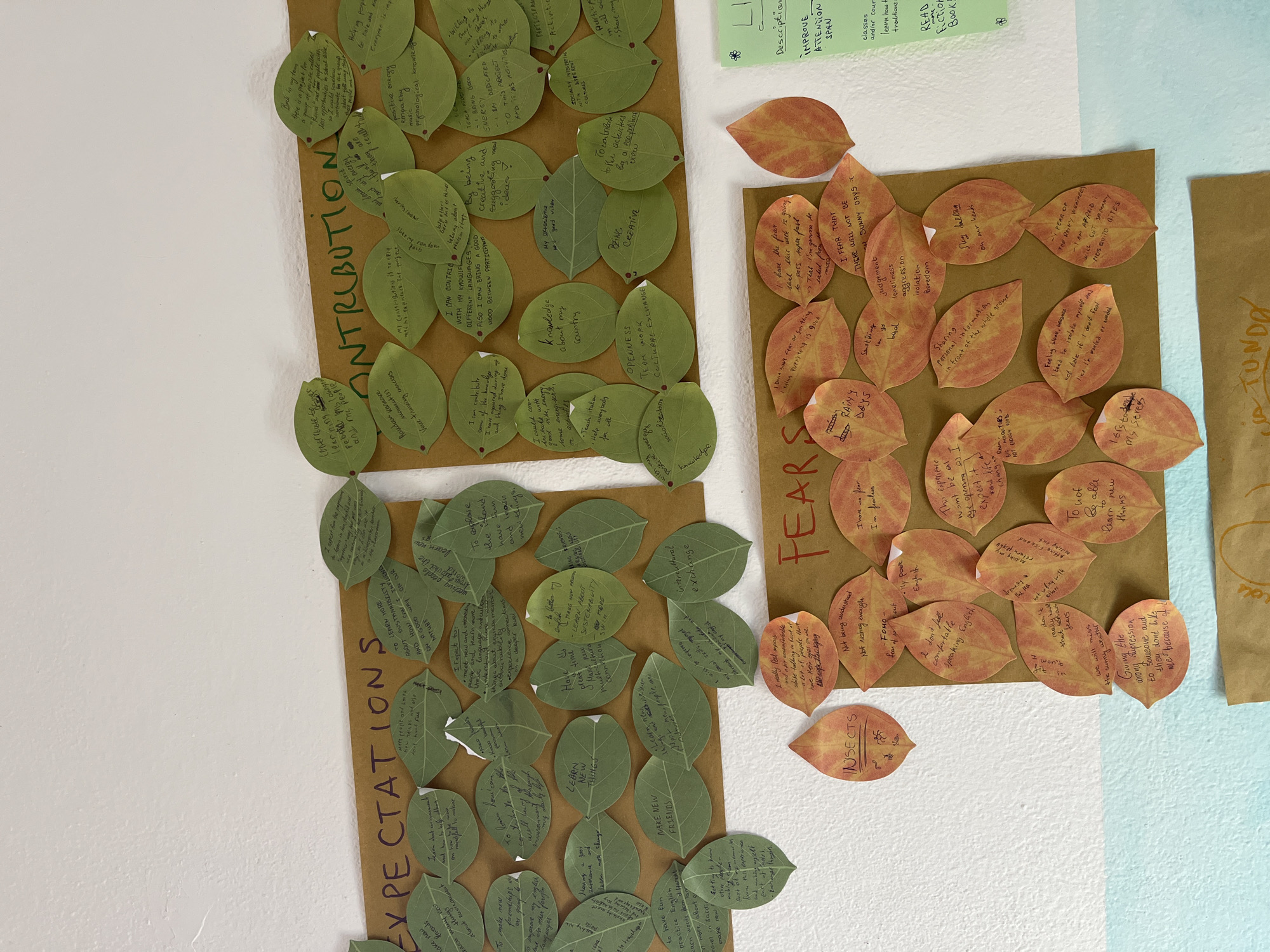 The image shows a wall with four sheets of brown paper, each labeled with a word in capital letters: "EXPECTATIONS," "CONTRIBUTION," "FEARS," and a partially visible word, "JA TUNDA." Each sheet has numerous leaf-shaped paper notes attached to it with writing on each leaf. The "EXPECTATIONS" and "CONTRIBUTION" leaves are green, while the "FEARS" leaves are orange/red. A light green piece of paper with writing on it is located above the "FEARS" chart. The wall is white in the left portion of the image and transitions to a light blue color on the right. The room appears to be indoors. The image suggests a workshop or group activity where participants wrote their expectations, contributions, and fears on leaf-shaped notes and posted them on the wall. There are no discernible people, actions, or interactions visible. It can only be said that this image was taken in the city of Santeru/San Vero Milis, Italy if the image came with this information.