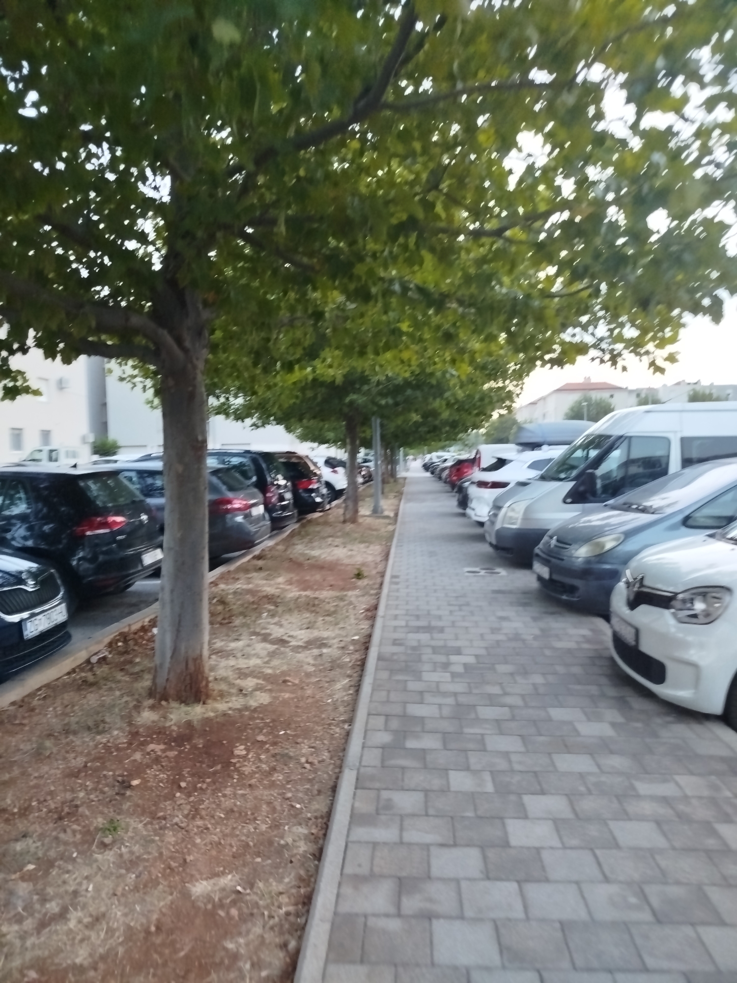 The image shows a parking lot with several cars parked in a row on the left side, alongside a row of trees. The trees have green foliage and their trunks are visible. The ground on the left of the parking lot is covered in brown soil and dry grass. The cars are parked on a paved area made of grey interlocking bricks. In the background, there are buildings. The scene appears to be a street or a dedicated parking area in a city. The license plate visible on the closest car reads "ZG 790CH". The presence of the "ZG" prefix on the license plate indicates that the vehicle is registered in Zagreb, the capital of Croatia. This does not confirm that the photo was taken in Omiš, but it does confirm that at least one vehicle in the picture is registered in Croatia.