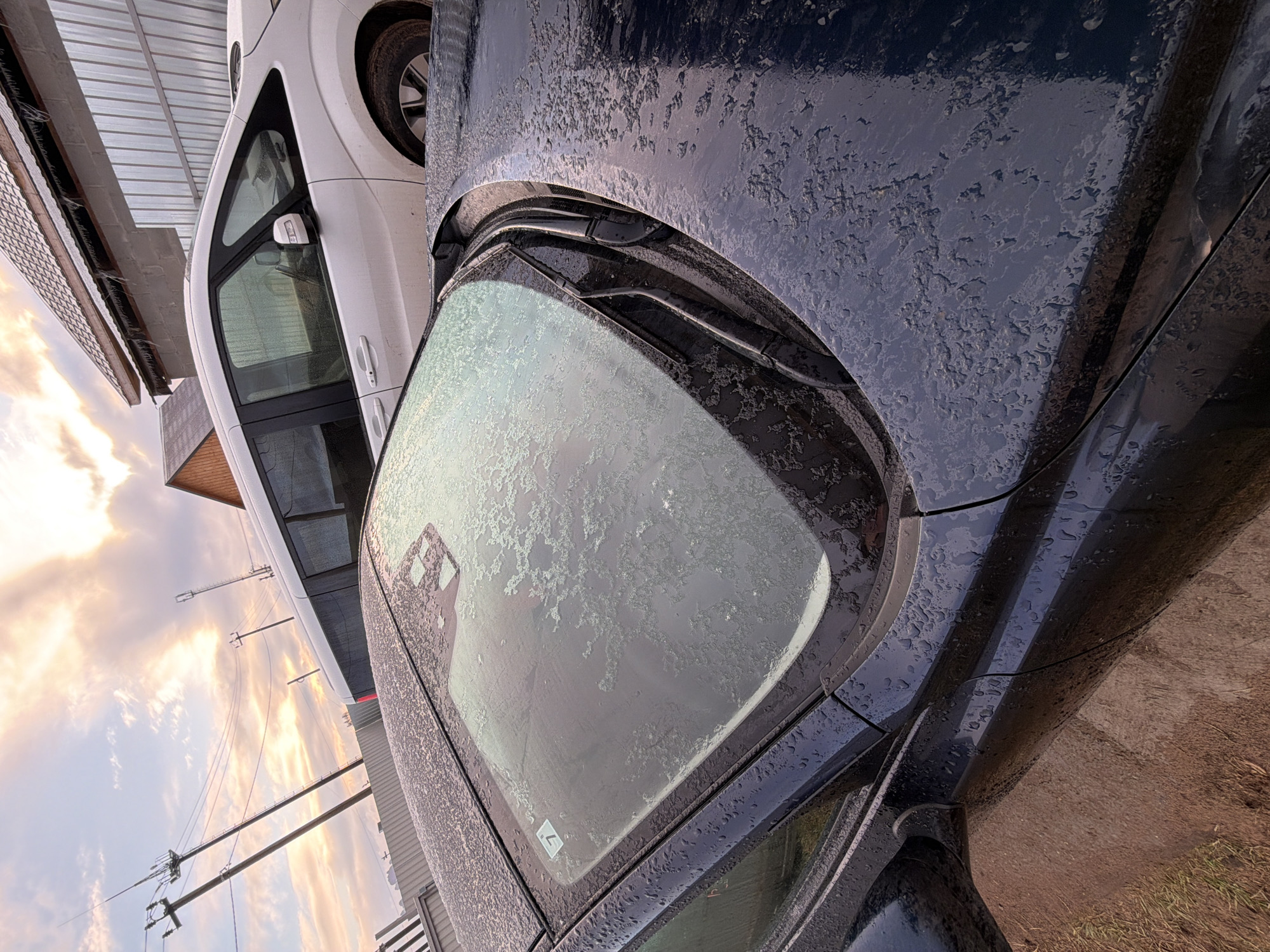 The image presents an outdoor scene featuring two parked cars under a dramatic sky. A dark blue or black car occupies the foreground, its body and parts of its windshield heavily coated with a distinct, speckled layer that resembles dried mud splashes or dirty water residue. This texture gives the car a rough, unwashed appearance, particularly noticeable on the hood, fenders, and roof. The windshield is partially obscured by a similar pattern, and a white, square sticker with a stylized 'L' or chevron symbol is visible on its lower passenger side.
Behind the dark car, a white vehicle is partially visible, appearing much cleaner though some dirt is present on its wheels and lower sections. The setting includes utility poles with numerous wires stretching across the frame, suggesting a semi-rural or light industrial area. In the background, parts of a building with a corrugated metal roof and wooden structures are visible.
The sky is a notable feature, displaying warm colors of orange, pink, and light blue, indicative of either a sunrise or sunset. The lighting is soft and diffused. The ground consists of a mix of dirt, patches of grass, and what appears to be a concrete or paved surface. There are no people present in the image. The cars appear to have been driven recently in conditions that resulted in significant dirt accumulation. The location cues, in line with the provided context, place this scene in Chaikovsky, Russia.