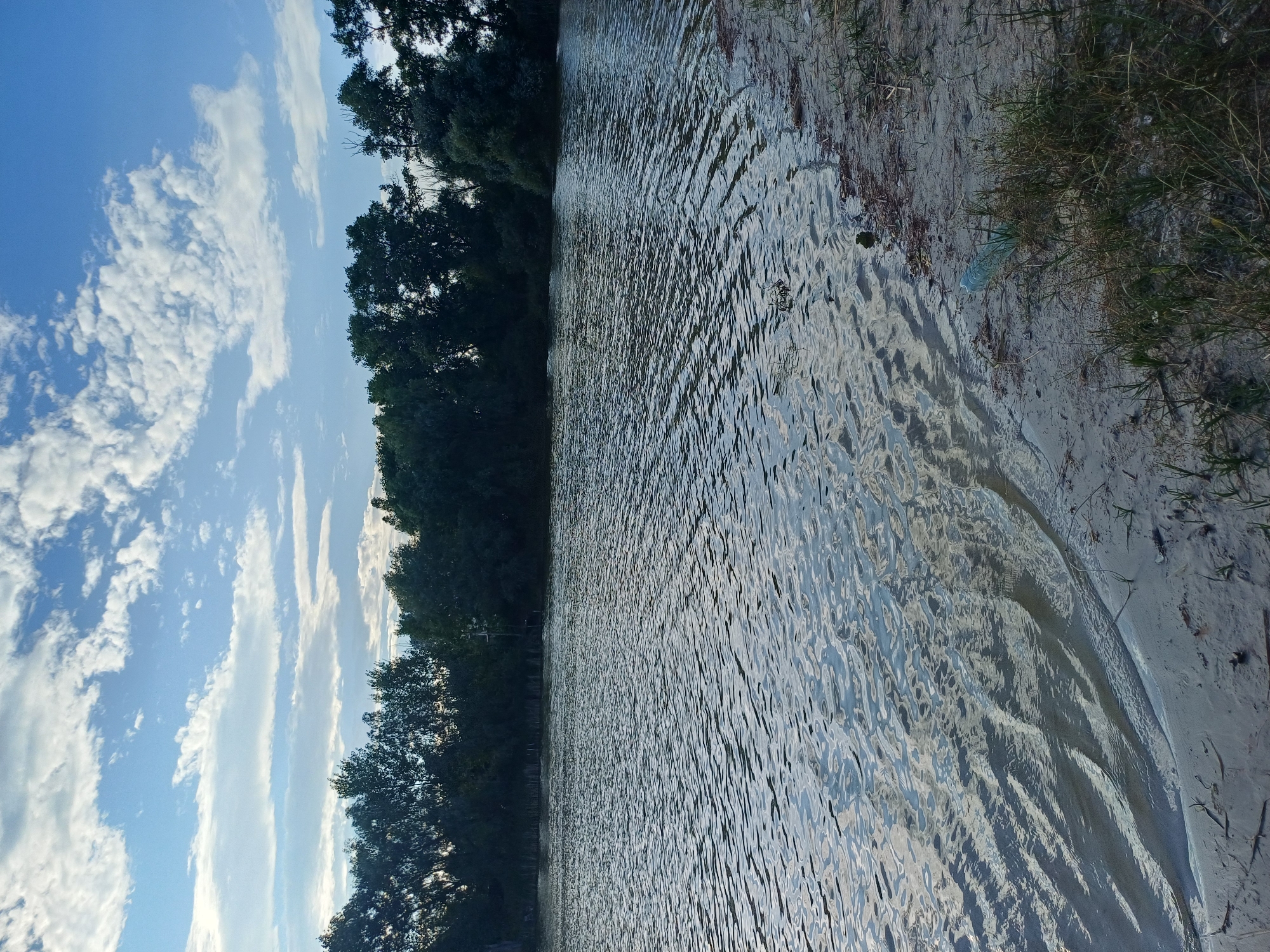 The image depicts a waterfront scene with a body of water in the foreground and a treeline in the background. The sky above is blue with scattered white clouds. The water's surface is rippled, reflecting the sky and surrounding environment. The shoreline is sandy with some sparse vegetation and debris, including a plastic bottle visible on the right side of the frame. The treeline appears dense and is composed of various trees. The scene is devoid of any people or visible structures. The location is identified as Sulymivka, Ukraine.