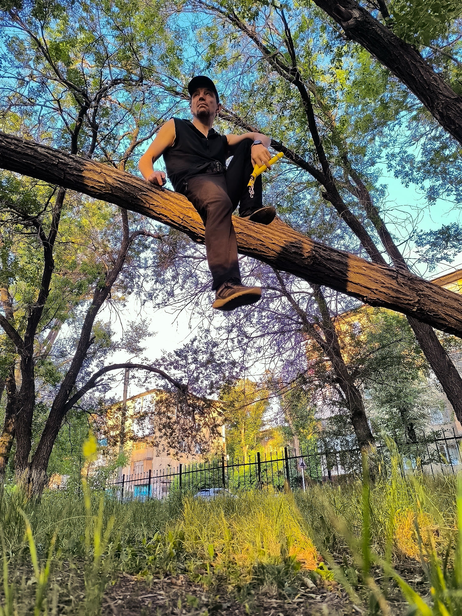 A man wearing a black sleeveless shirt, black pants, and a black baseball cap sits on a large, horizontal tree branch, looking upwards. He holds a yellow object, possibly a grip strengthener, in his right hand. The man is positioned high in the tree, with the camera looking up at him. The background shows a clear blue sky with some clouds, surrounded by the leafy branches of trees. Below the tree, there is a fence, a building with windows, and some grass. The scene appears to be in an urban or park setting. There is no specific indication of the location being in Qarağandı city administration, Kazakhstan, in the image itself.