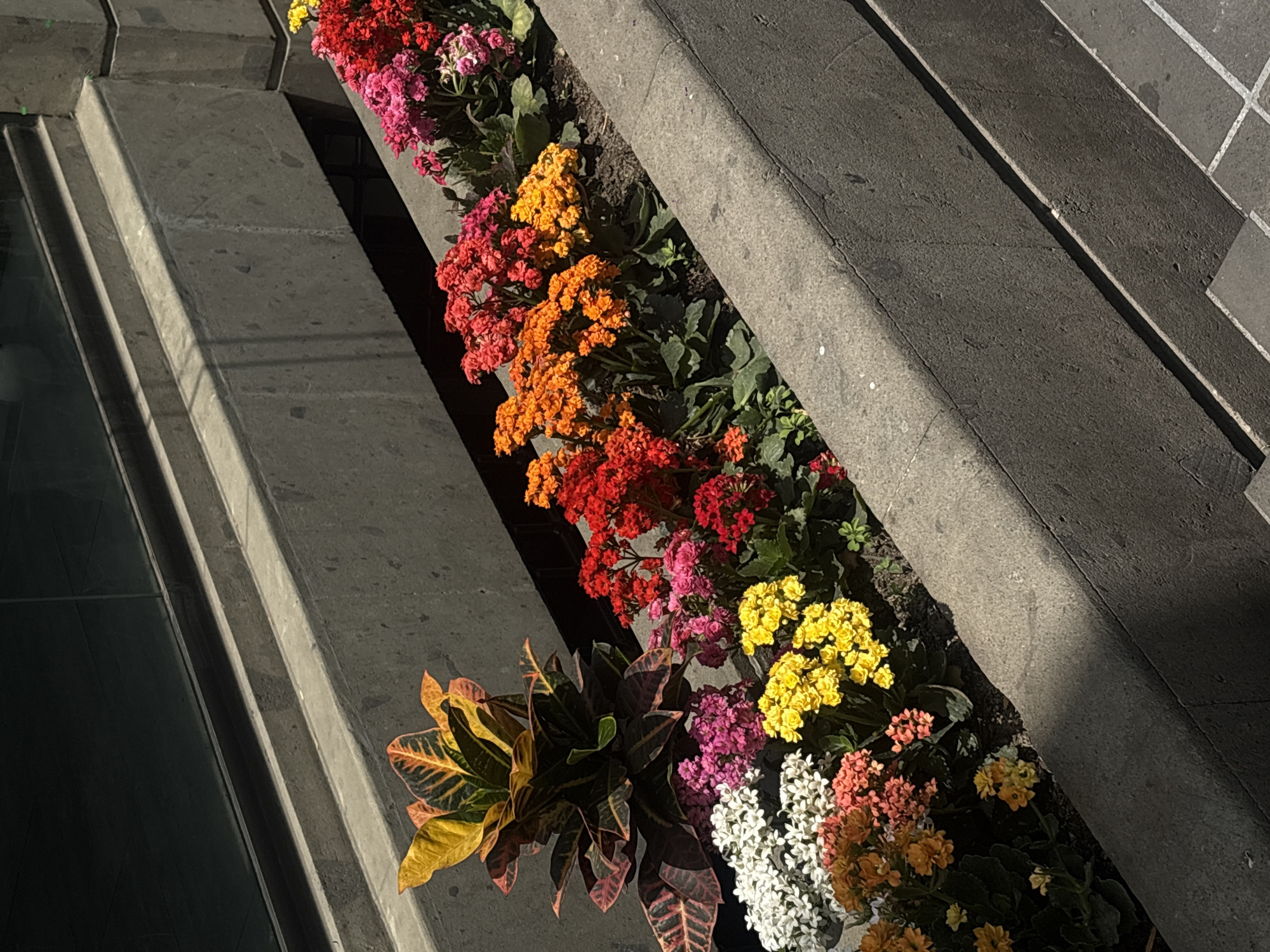 The image displays a vibrant, sunlit planter box brimming with colorful flowering plants, situated within an urban architectural setting in Mexico City, Mexico. The planter, constructed from grey concrete or stone, runs diagonally from the upper right to the lower left of the frame. It is flanked on both sides by similar linear concrete structures, which cast sharp, elongated shadows due to the intense, direct sunlight.
The planter features a diverse array of healthy-looking flowers in clusters, showcasing vivid hues of red, bright orange, various shades of pink, yellow, purple, and white. Towards the foreground and left, a prominent variegated-leaf plant with striking yellow, orange, and dark reddish-brown foliage adds another layer of color and texture. The dark, reflective surface on the far left of the image could be a building window or facade.
The strong contrast between the brightly lit flowers and the deep shadows suggests the photo was taken on a clear, sunny day, likely during mid-morning or afternoon. The scene conveys a sense of well-maintained urban greenery and natural beauty integrated into a structured environment. There are no people or discernible text visible in the image.