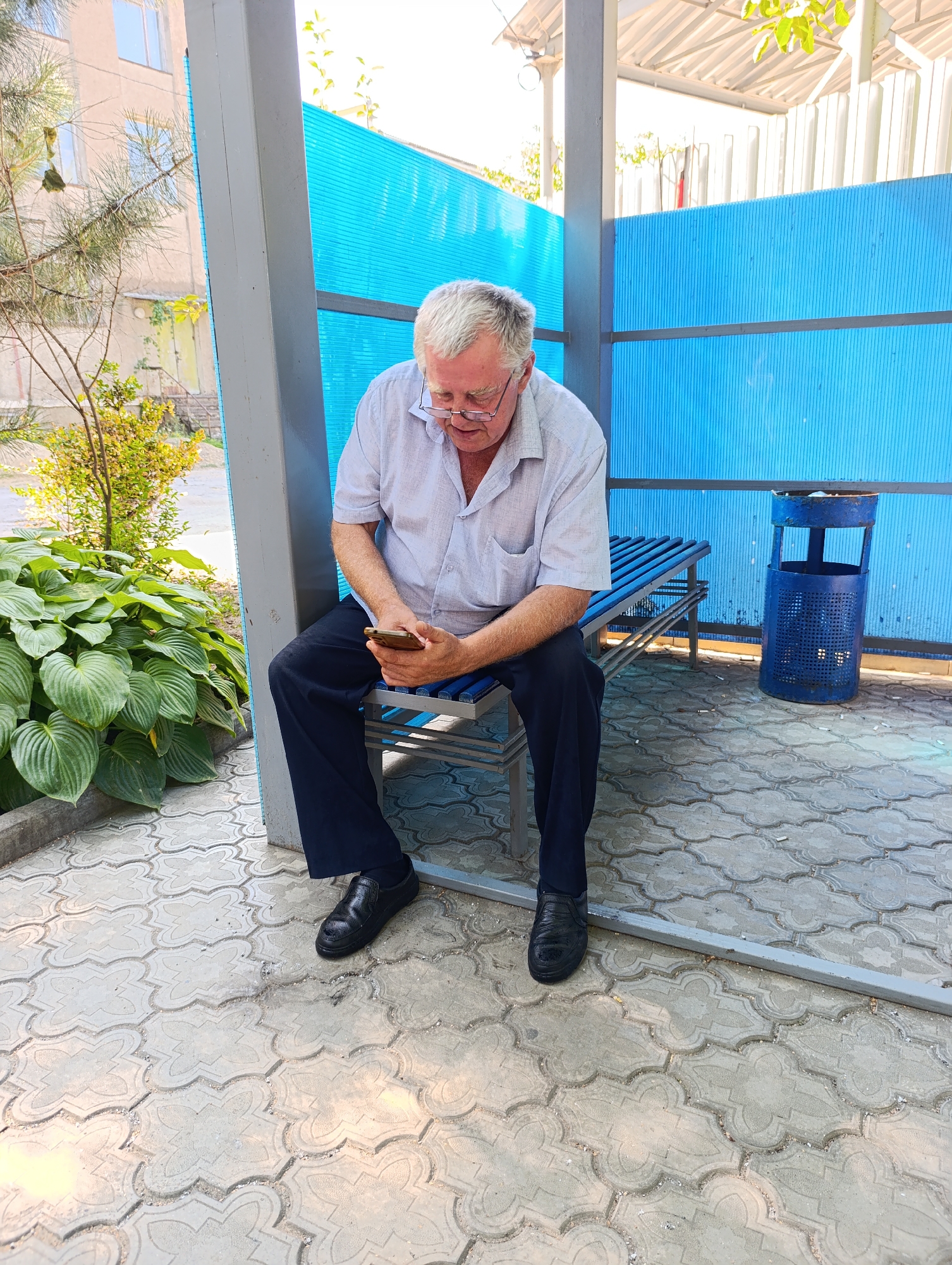 An elderly Caucasian man with gray hair and glasses is sitting on a metal bench and looking at his mobile phone. He is wearing a light-colored short-sleeved shirt and dark pants. The bench is located outdoors, in an area with a paved ground covered in decorative tiles. Behind the man, there is a bright blue translucent wall and a metal trash can. To the left of the man, there are large green plants and a tree. In the background, a building with windows is visible. The scene appears to be in an outdoor public space.
