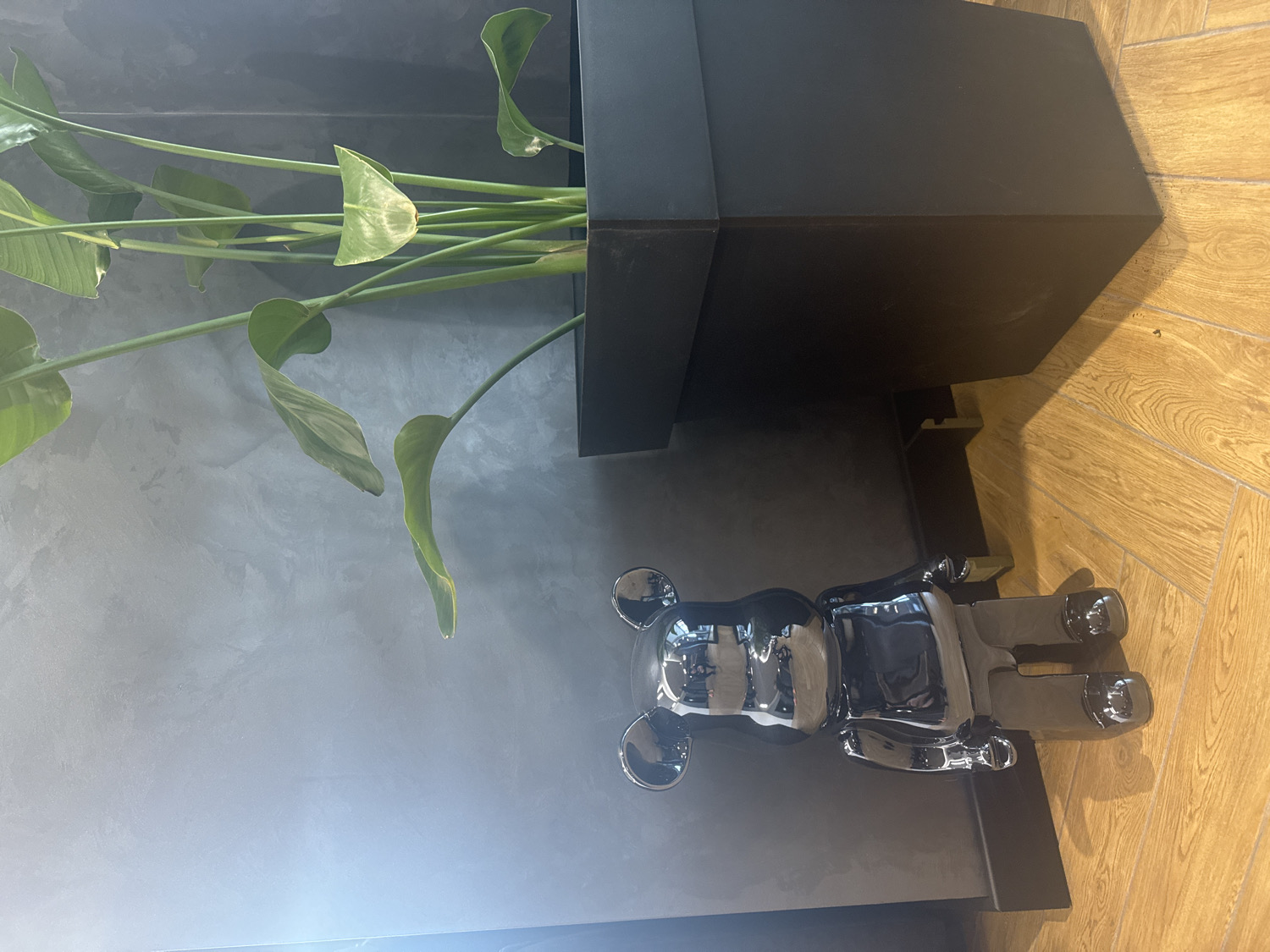 An indoor scene in Lukovit, Bulgaria, features a blend of natural elements and modern design. A large plant with broad, vibrant green leaves extends from a tall, rectangular black planter. Adjacent to the planter, resting on a dark gray or black surface, is a glossy, dark silver or chrome bear-like figurine, resembling a Bearbrick or similar art toy, which reflects light and its surroundings.
The background consists of a textured, mottled gray wall, possibly concrete or stucco. To the right of the planter and figurine, a light-colored wooden floor with a herringbone pattern is visible. The lighting appears diffuse, creating soft highlights on the reflective figurine and emphasizing the varied textures of the room. No people or visible text are present, and no specific activity is taking place. The overall aesthetic is modern, combining the organic form of the plant with sleek, contemporary decor objects.