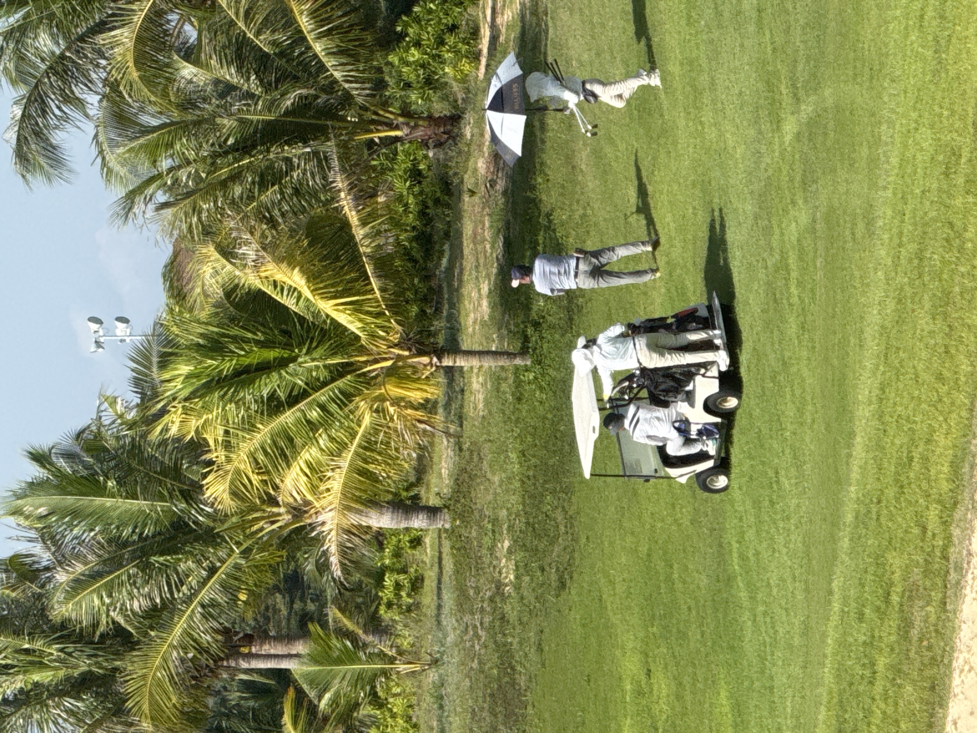 In a tropical setting with abundant palm trees, a golf cart is parked on a green lawn. Three individuals, two of whom are wearing white golfing attire and one in a striped shirt and grey pants, are near the cart. One individual stands with their back to the viewer, holding an umbrella over their head. The ground is covered in lush green grass, with some sandy patches and vegetation visible in the background. The sky is a pale blue with a few clouds. The scene appears to be a golf course. The location of Phú Thủy, Vietnam is not explicitly shown in the image but could be a possible setting given the tropical vegetation.