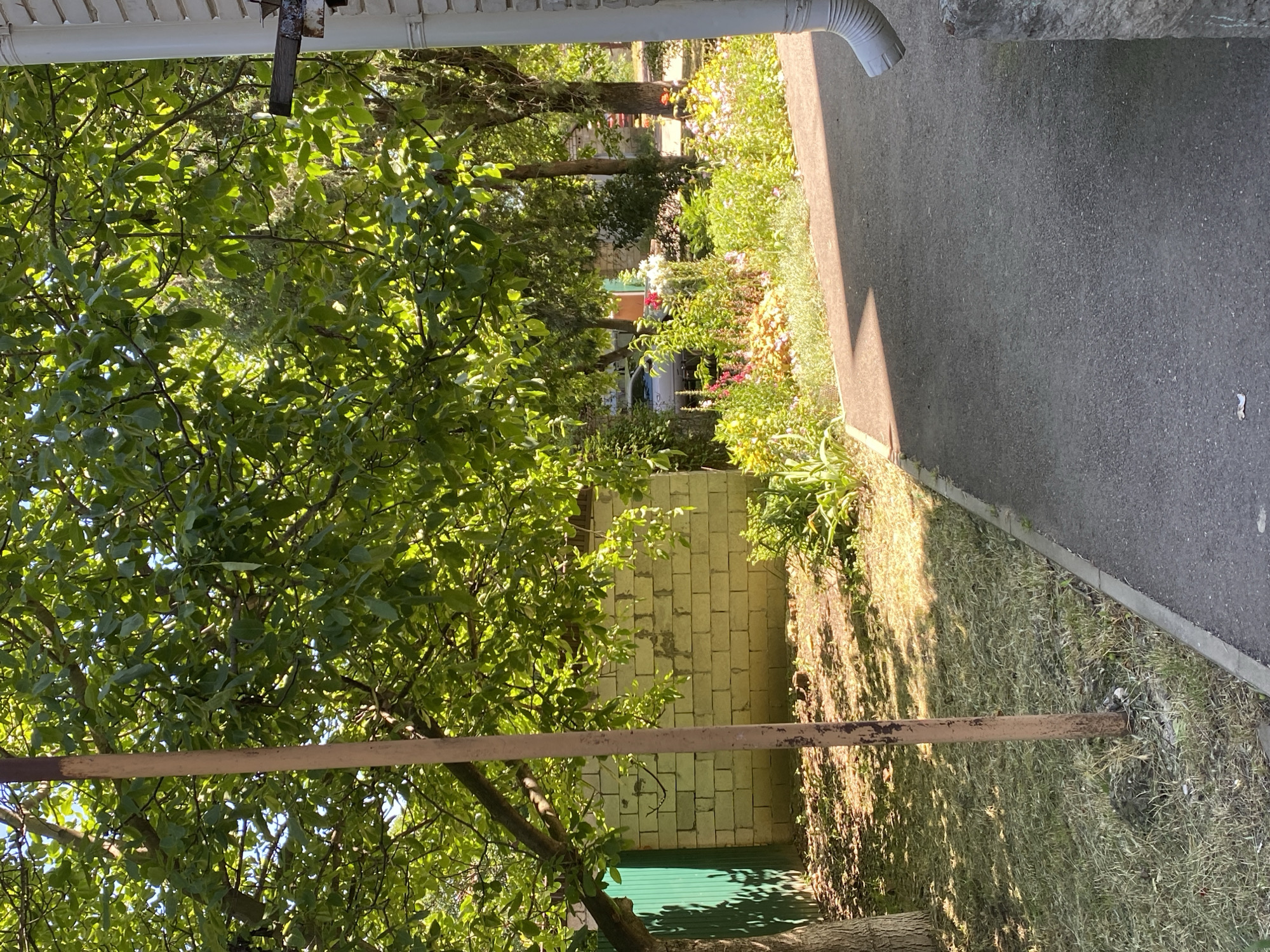 The image depicts a sun-drenched backyard scene in a suburban area, likely in the city of Zapadny, Russia, characterized by lush greenery and a laid-back atmosphere. In the foreground, a paved pathway curves gently to the right, bordered by a strip of dry grass and a concrete edge. A weathered brown pole stands vertically in the middle ground, its surface showing signs of rust and age. To the left, a part of a tree trunk is visible, casting a shadow on the mowed lawn.
Behind the pole, a low, light-colored brick wall forms the backdrop, with a section of a green metal fence to its far left. A dense canopy of green leaves from a large tree dominates the upper portion of the image, dappled with sunlight that filters through, creating a dynamic play of light and shadow. In the middle distance, a vibrant flower bed bursts with a variety of colorful blooms, ranging from reds and pinks to whites and yellows, interspersed with various green foliage. Behind the flower bed, a silver car is partially visible, parked on what appears to be another pathway or driveway. Further in the background, more trees and some structures, possibly houses or sheds with stone facades, can be seen. A white downspout is prominent on the right side of the image, attached to a building's exterior wall. The overall impression is one of a well-tended, private outdoor space on a bright, clear day.