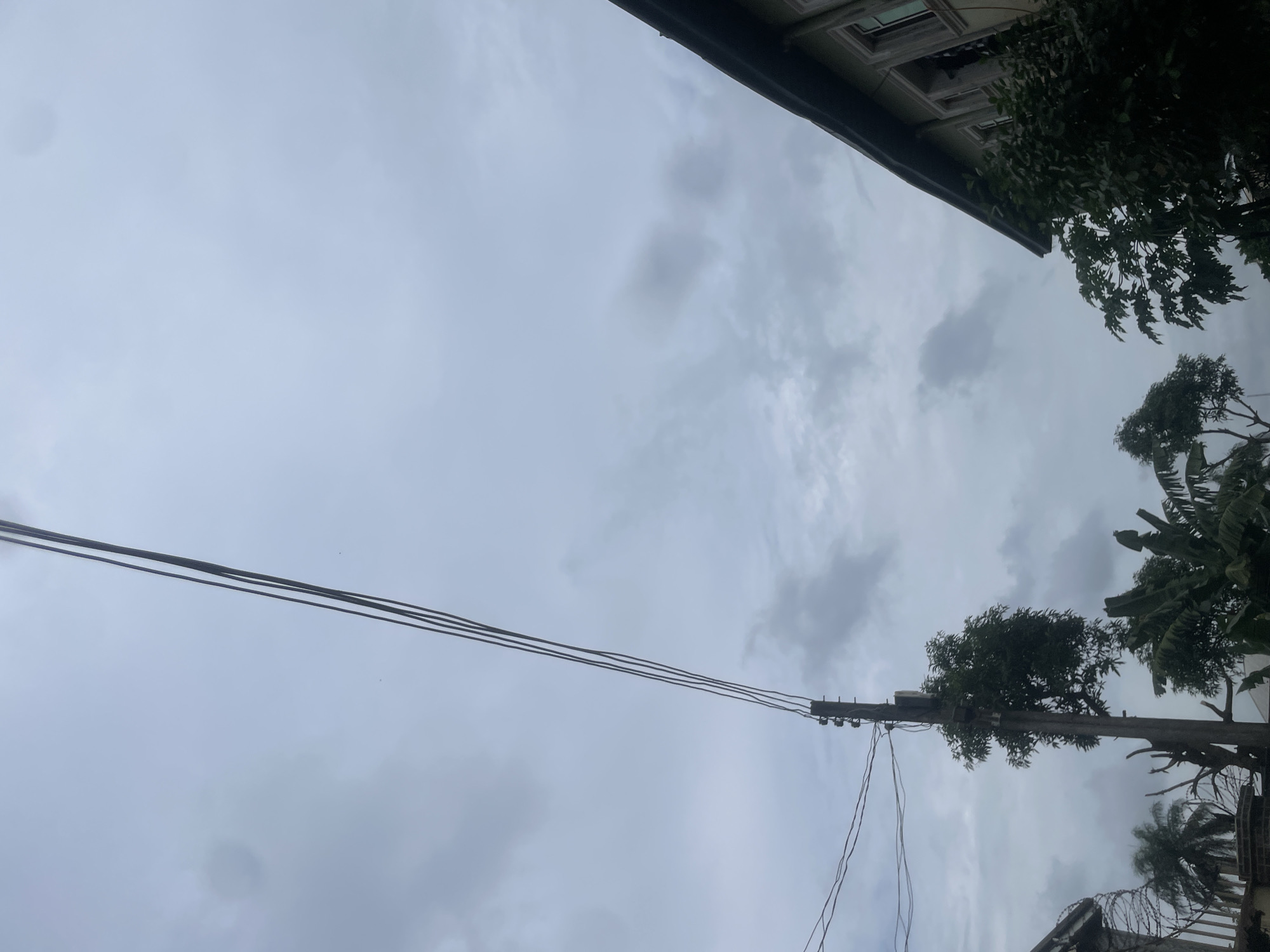 A low-angle, outdoor, full shot captures a cloudy sky over a residential area in Ihiagwa, Nigeria. Three power lines run diagonally from the upper left to the lower right of the frame, supported by a wooden utility pole on the left. The utility pole is surrounded by lush green trees and vegetation, including banana trees. To the right, the corner of a light-colored building with dark trim is visible, extending from the upper right towards the bottom center. The building has multiple windows with white frames. In the lower left, a section of a fence topped with barbed wire is present. The overall atmosphere is overcast and still.