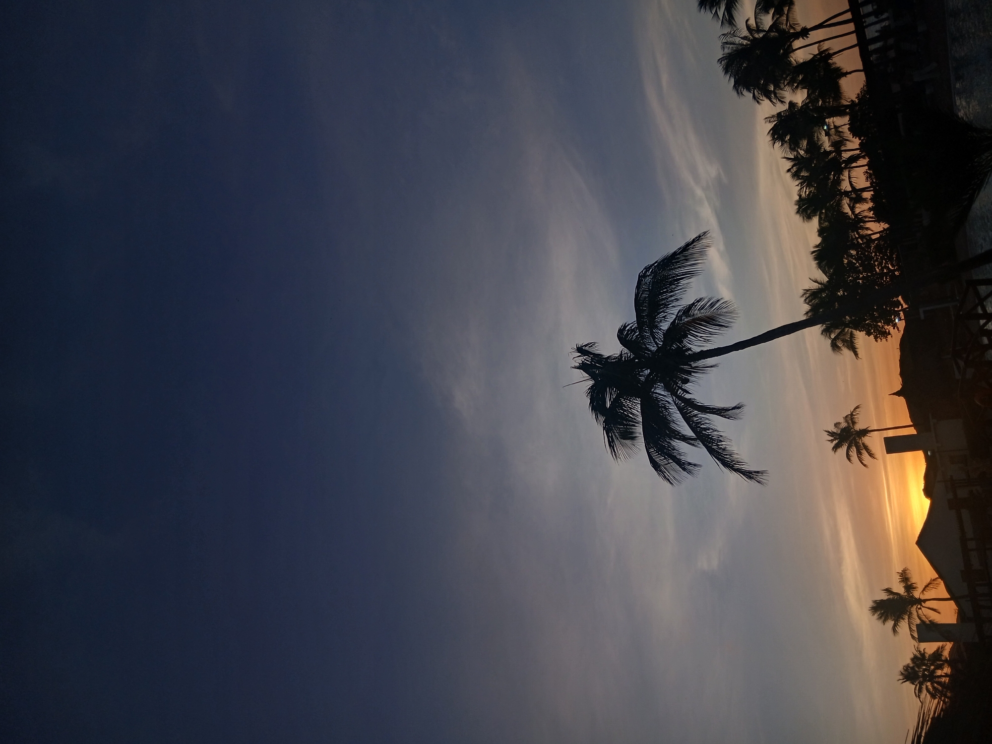 The image displays a tropical sunset or dusk scene in Altagracia, Venezuela. The sky transitions from a deep indigo blue at the top to a lighter blue-grey mid-section with wispy clouds, culminating in vibrant orange and yellow hues at the horizon. A tall, slender palm tree stands prominently in the mid-ground, silhouetted against the sky, its fronds distinctly visible. To the right and extending across the lower half of the frame, a dense line of additional palm trees and foliage forms a dark silhouette against the setting sun. Below the tree line and on the horizon, several low-rise building structures are visible as dark silhouettes, including one with a pitched roof towards the left and other vertical elements suggesting an developed area. The scene is backlit, rendering the foreground and mid-ground elements as dark profiles against the illuminated sky.
