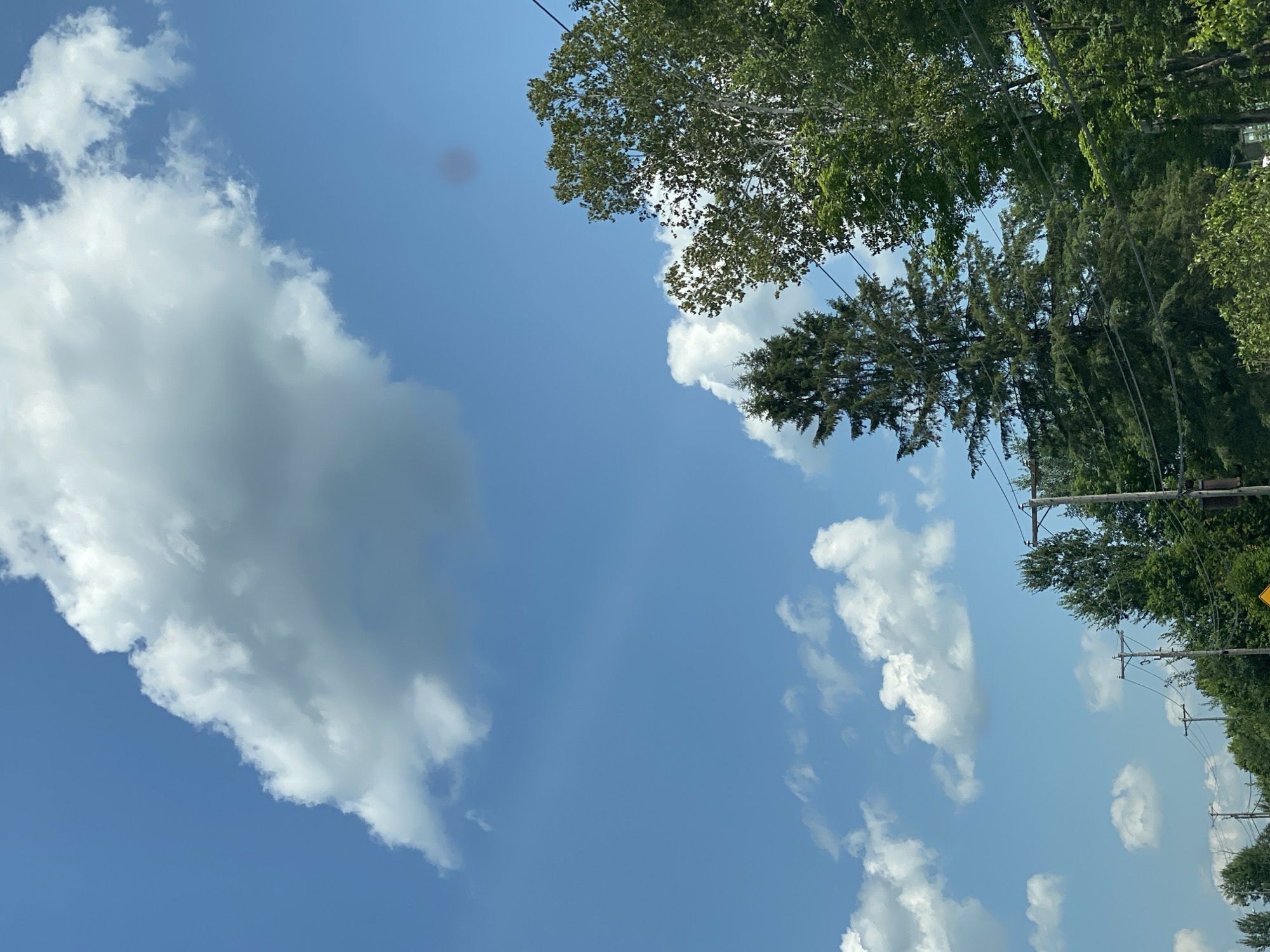 The image shows a view of the sky with scattered clouds and the tops of trees. There are power lines visible across the scene. The sky is bright blue, indicating daytime. The trees are green and appear to be deciduous and coniferous. The scene suggests an outdoor environment, possibly a rural or suburban area. Without additional context or landmarks, the specific location in Ripon, Canada cannot be determined.