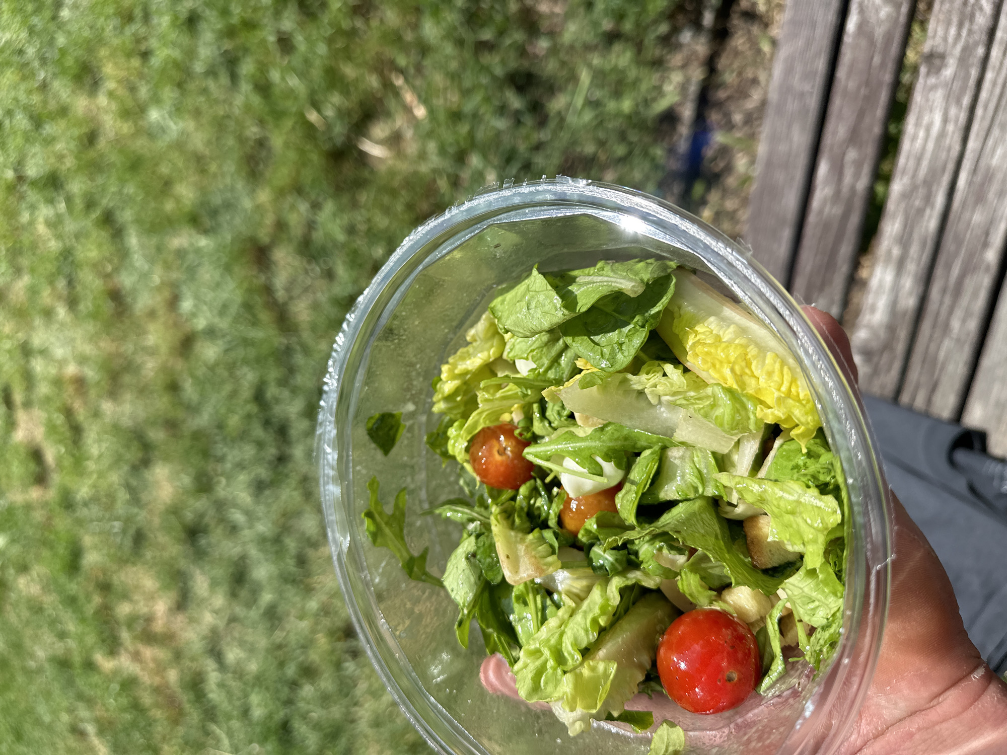 A hand holds a clear plastic container filled with a salad containing lettuce, tomatoes, and croutons. The background includes green grass and a wooden park bench. The location is likely outdoors. It is not possible to determine whether the image was taken in Sofia, Bulgaria, as there are no identifiable landmarks.