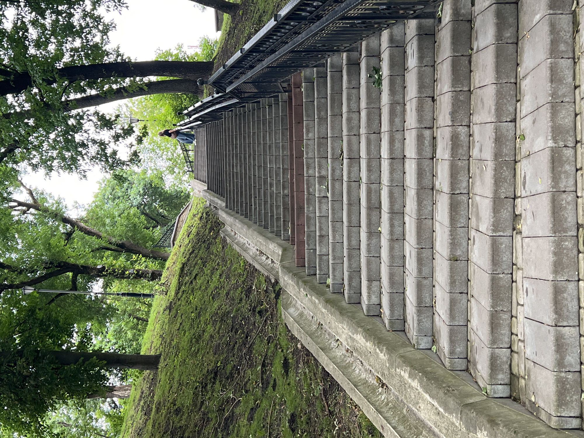 The image depicts a wide, outdoor staircase made of gray concrete pavers, ascending a grassy, tree-lined slope. A black metal railing runs along the right side of the stairs. A person wearing blue jeans and a dark top is visible at the top of the staircase, facing away from the camera and walking upwards. The stairs are flanked by a concrete drainage channel on the left and a sloping embankment covered in green grass and some exposed soil on the left. Lush green trees with dense foliage are situated on either side of the slope, with a lamppost visible among the trees. The sky is overcast. The scene is likely located in a park or a public area within the city of Vitsebsk, Belarus, possibly in the area of the Upper Town or near one of its parks with elevated terrain.