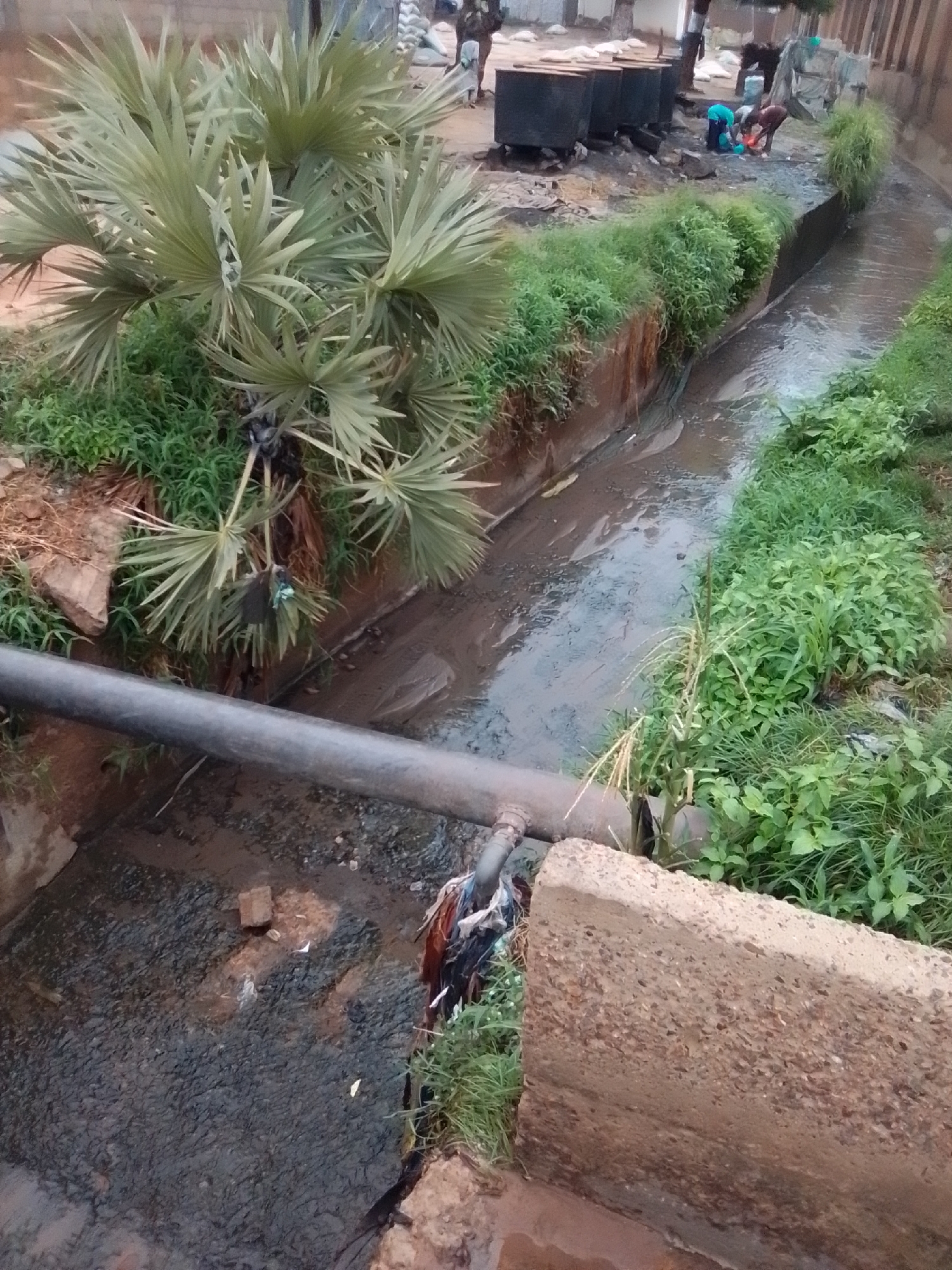 In Pantame, Nigeria, a drainage channel runs through an urban environment. The channel is lined with concrete on one side and overgrown vegetation on the other. A large pipe crosses the foreground of the image, running parallel to the channel. In the background, several dark, cylindrical containers are visible, along with a few individuals engaged in activity near the channel. The water in the channel appears murky and filled with debris. The scene suggests a community area with ongoing work or maintenance activities.