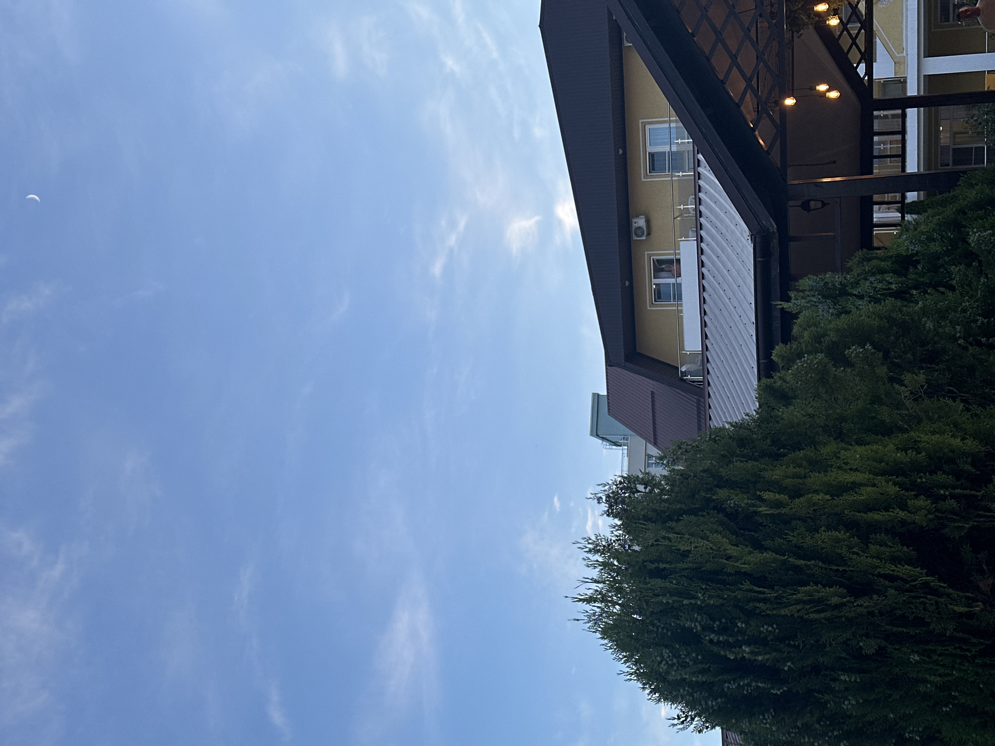 In Vityazevo, Russia, a wide shot captures a scene dominated by a large, dark green evergreen tree in the foreground, partially obscuring a multi-story building. The building features yellow and light blue facades, with visible windows and balconies. A dark-colored roof with a metal finish is prominent. Above the building, the sky is a soft blue with wispy white clouds and a crescent moon visible in the upper right quadrant. Underneath the building's upper floors, a darker covered outdoor area with hanging lights is visible, suggesting a patio or restaurant setting. The overall impression is a late afternoon or early evening view of a coastal town.
