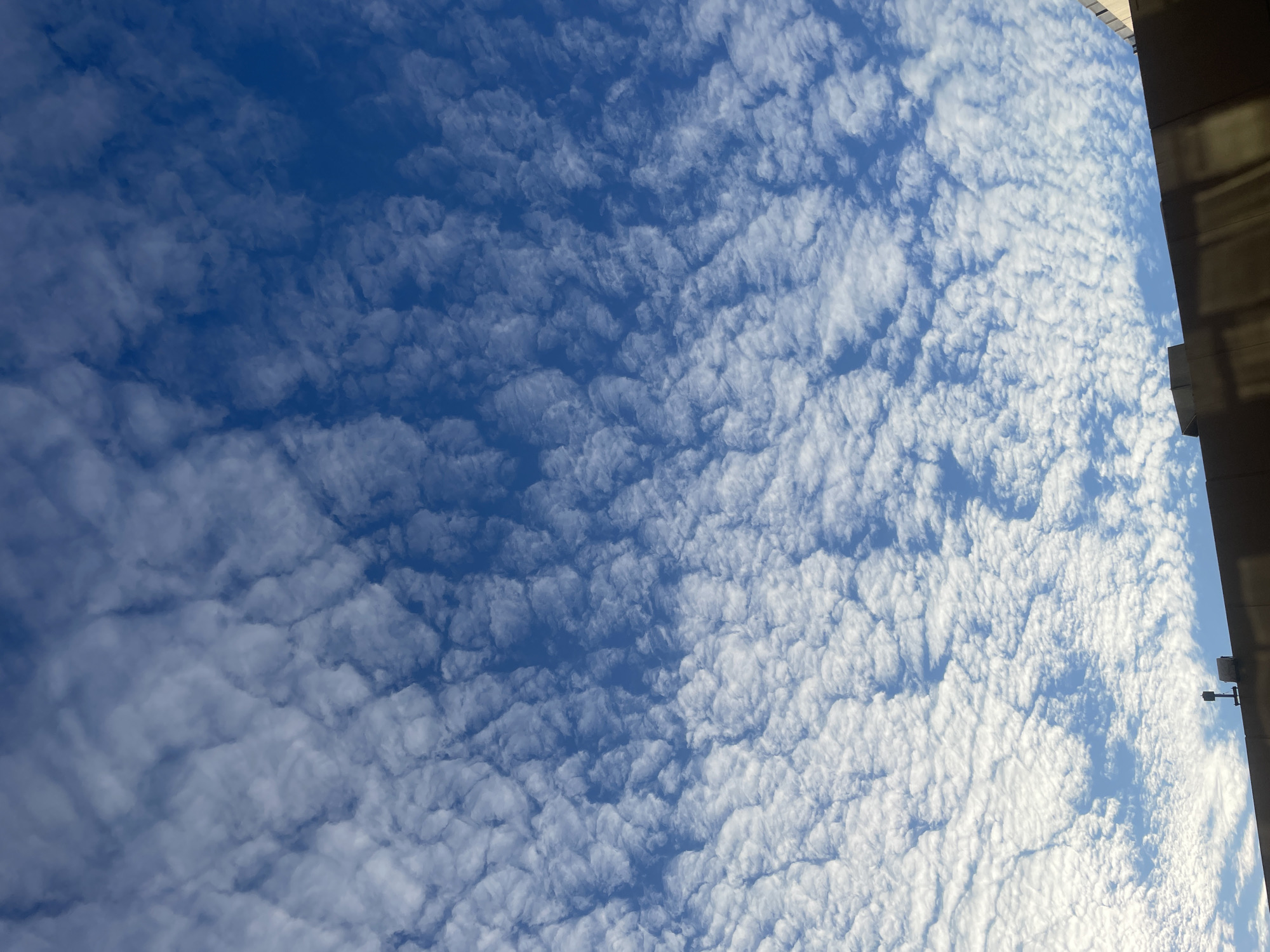 The image displays a clear blue sky filled with scattered, white, puffy clouds, forming a textured pattern. Below the sky, the top edge of a dark-colored building is visible, casting a shadow across its surface. On the rooftop, a small, dark object, possibly an antenna or a light fixture, is mounted. The scene appears to be an urban environment, with the building suggesting a city setting. Without further context or landmarks, pinpointing the exact location within Brisbane, Australia is not possible based solely on this image.