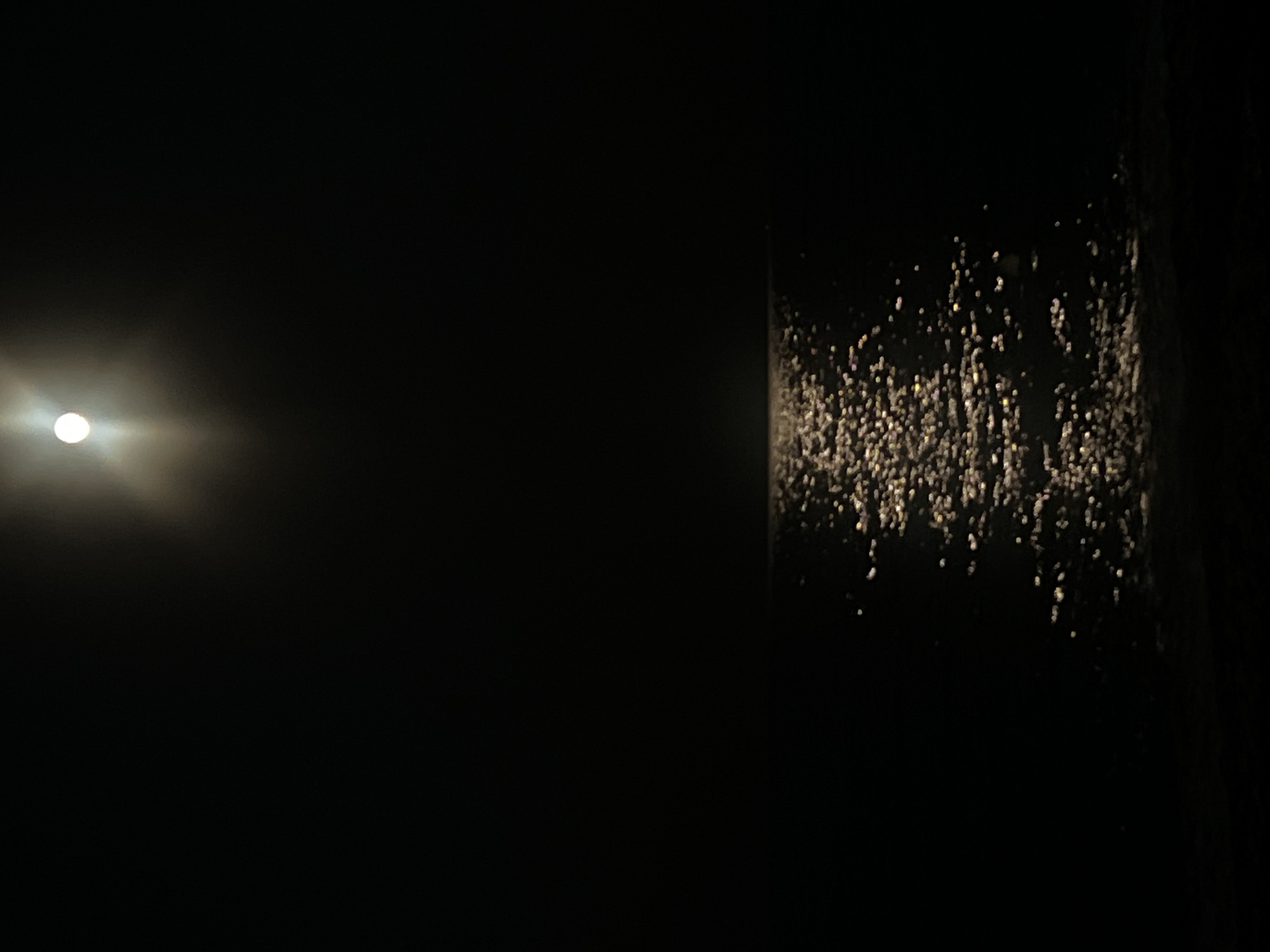 The image depicts a nocturnal scene of the Black Sea as viewed from Odesa, Ukraine. A bright full moon hangs high in the inky black sky, its light creating a shimmering, reflective path across the dark water. The surface of the sea is disturbed, with numerous small, bright highlights indicating waves or ripples catching the moonlight. The horizon line where the sea meets the sky is faintly visible. The foreground consists of a dark, indistinct area, likely the shore or a pier. There are no people, animals, or man-made structures explicitly visible in the frame. The overall impression is one of natural serenity and vastness, illuminated by the soft glow of moonlight.