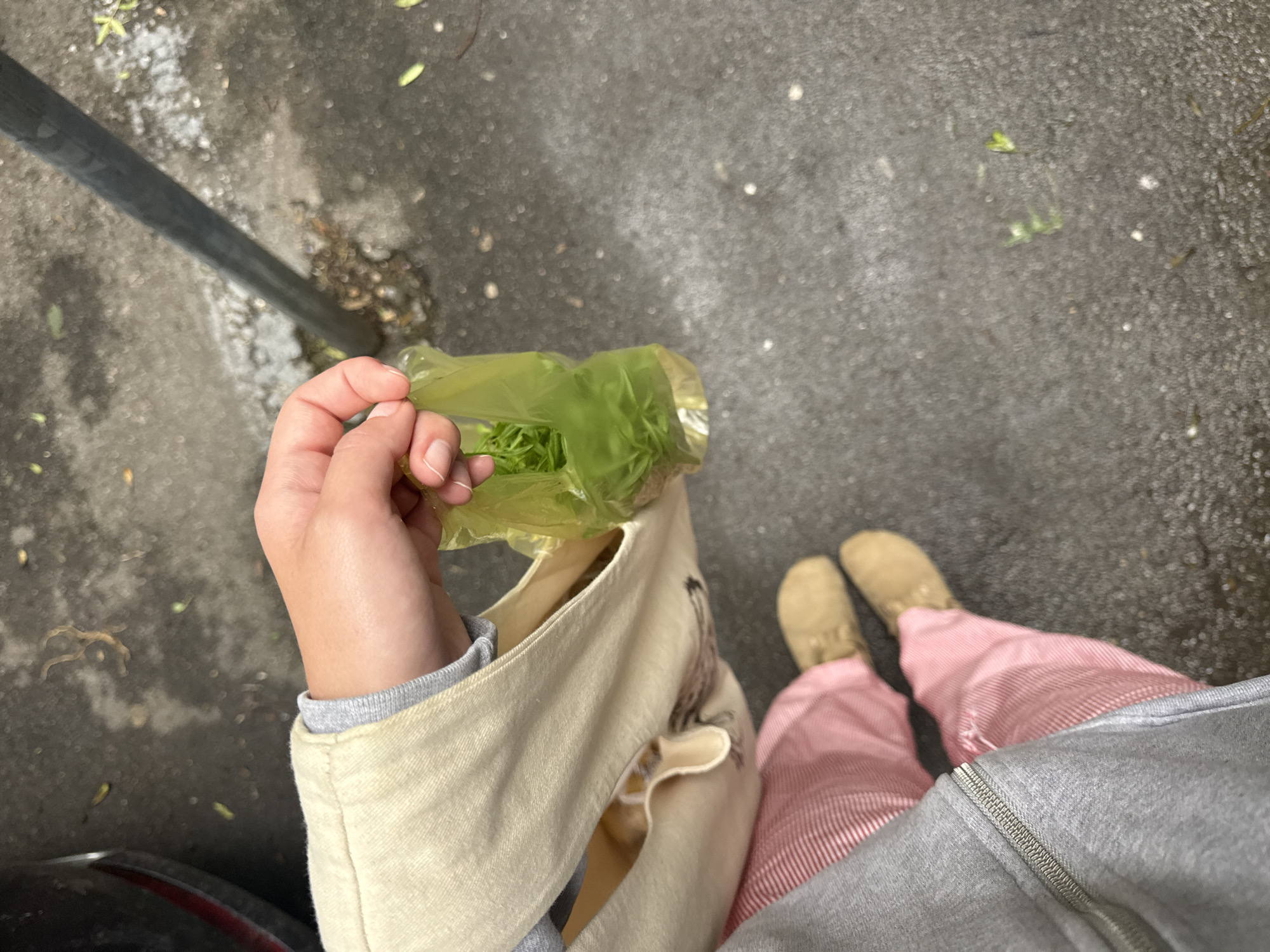 A person stands on a paved surface next to a metal pole, holding a plastic bag filled with green plants. The person is wearing tan moccasin shoes and pink striped pants, with a gray zip-up hoodie and a beige tote bag. The location is possibly Belgrade, Serbia, although this cannot be definitively determined from the image. The person appears to be near a street or sidewalk.