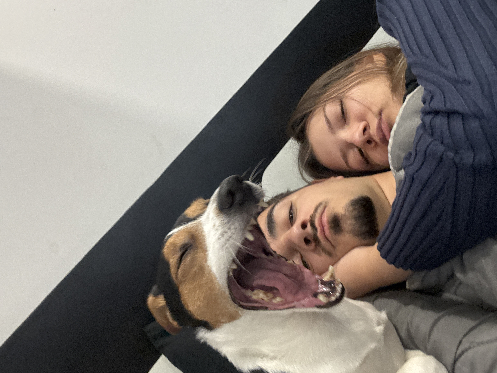 A digital photograph shows a woman and a man sleeping in a bed. They are lying face up. A tan, white, and black dog is in the foreground, facing the camera with its mouth open. The bed has gray bedding and a navy blue sweater or blanket covering part of the subjects. The background is comprised of a striped wall. The location of Sofia, Bulgaria cannot be ascertained from the visual information.