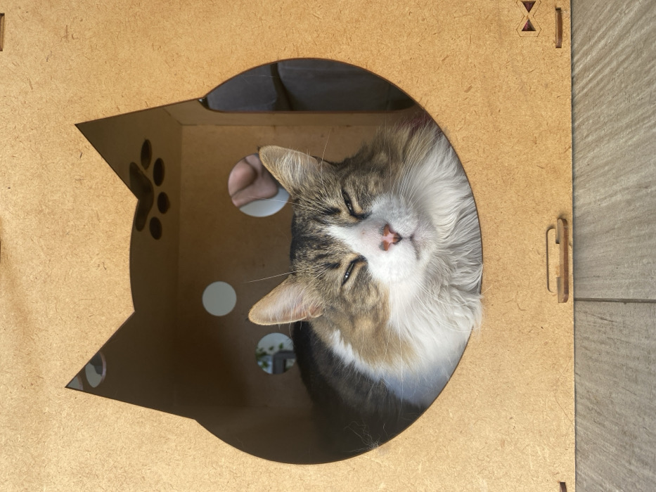 A fluffy, brown and white cat rests inside a cardboard cat house. The house is light brown and has a cat-shaped entrance, complete with triangular ears. Paw print and circle cutouts adorn the side of the entrance. The cat's head is angled, with its eyes partially closed. The house appears to be assembled from flat pieces, with visible tabs and slots indicating the construction method. A gray floor is partially visible in the background.