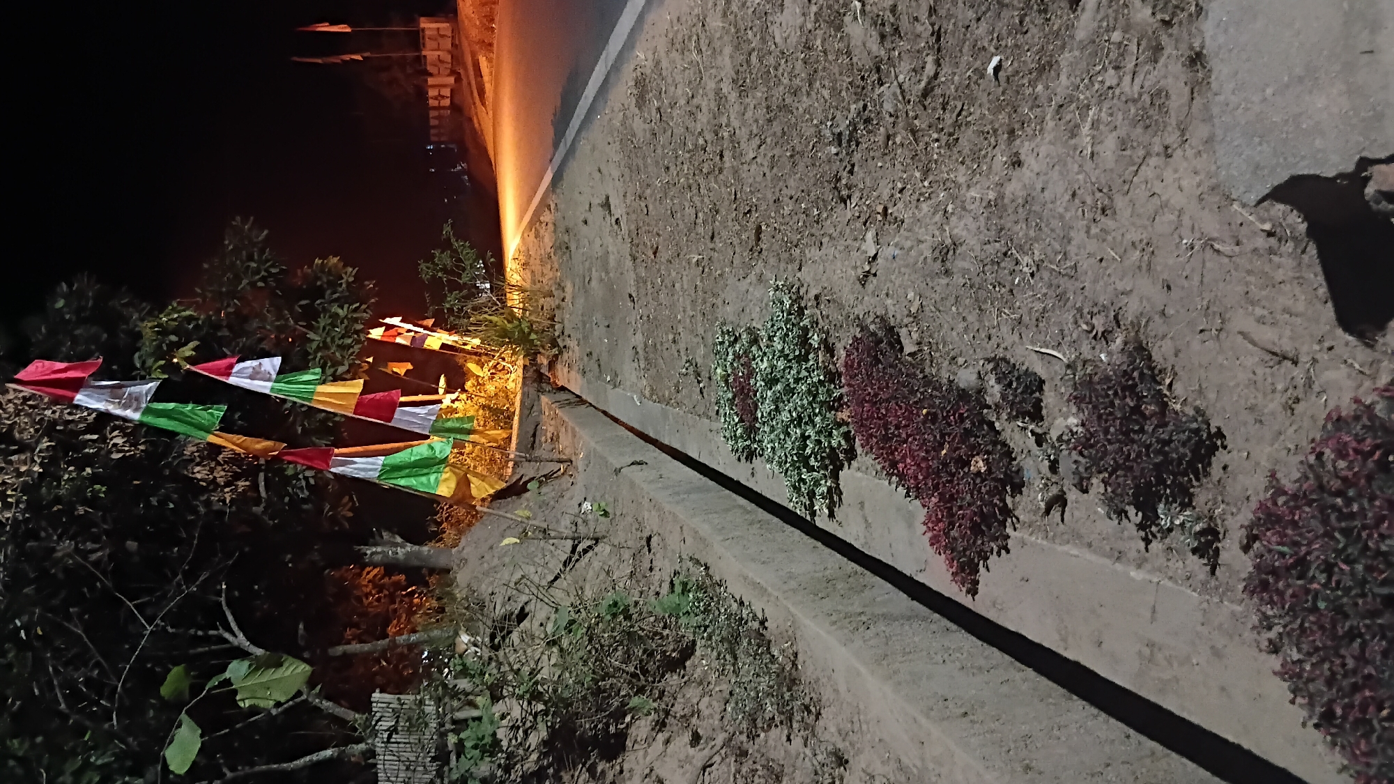 The image depicts a roadside scene at night in Prabumulih, Indonesia. A concrete drainage ditch runs along the left side of a dirt and gravel roadside. Several clusters of small, leafy plants, some with reddish-purple foliage and others with green and white variegation, are planted along the edge of the ditch. In the background, trees with large leaves are visible, and several small, colorful flags are strung up, fluttering in the breeze. The flags appear to be tri-colored, with red, white, and green segments, and some also have yellow. A paved road with a white line marking its edge is on the right, illuminated by a distant light source, possibly streetlights or a building. The overall impression is of a decorated roadside, likely for a local celebration or event, set against a dark, rural or suburban nightscape.