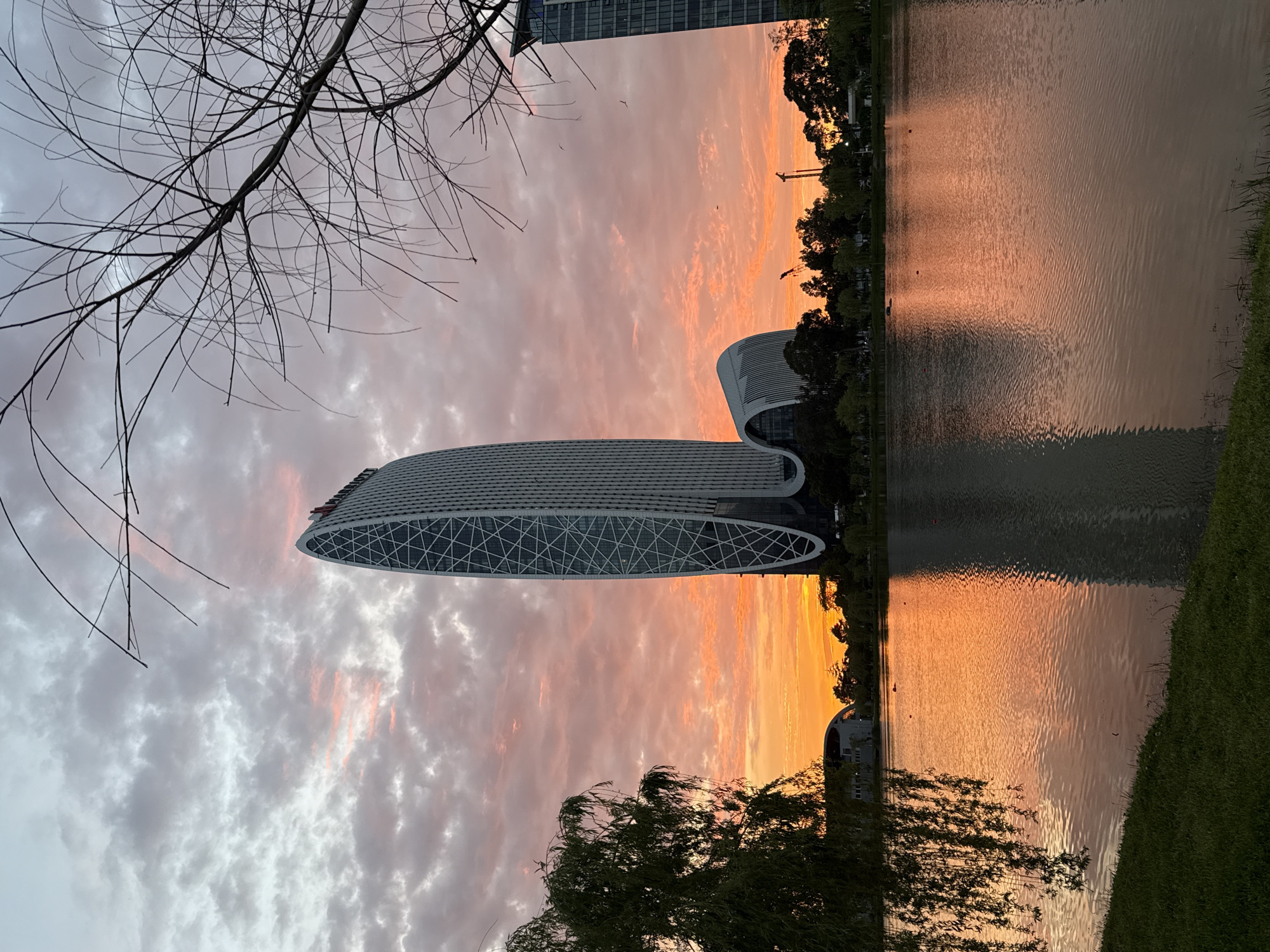 The image depicts a building with a unique, oval-shaped design in Batumi, Georgia. The building has a facade that appears to be constructed of a grid-like pattern. It is positioned adjacent to a body of water, likely a lake or river, and the reflection of the sunset can be seen on the surface. The sky showcases a gradient of colors ranging from orange to pink and grey, suggesting either sunrise or sunset. In the foreground, there are silhouettes of bare branches of a tree in the upper left corner, and a weeping willow in the lower right corner. There are also some distant trees and possibly other buildings visible between the main building and the water. There are some birds in the sky.