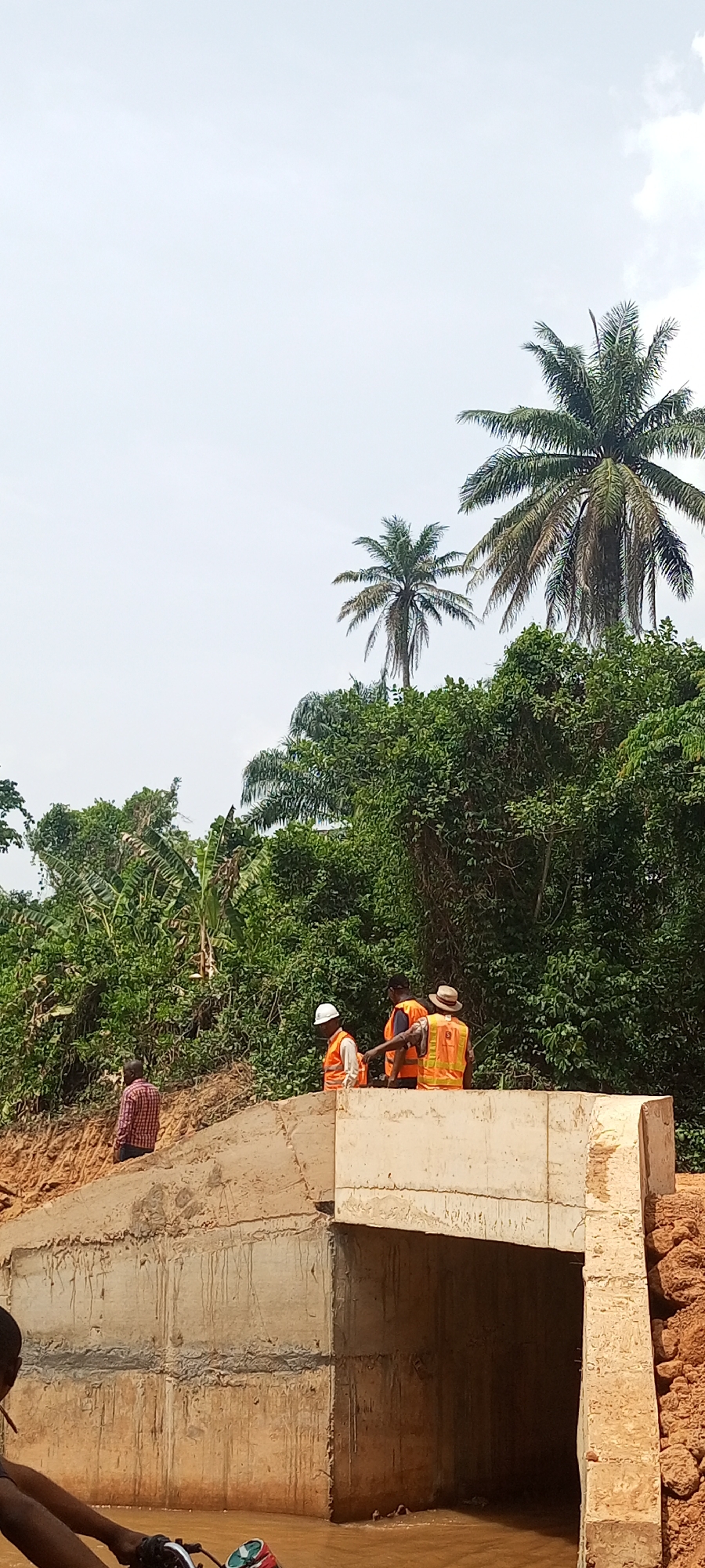This vertical image depicts a scene at a concrete bridge or culvert spanning a muddy body of water in Aloko, Nigeria. The setting is characterized by dense, lush green tropical vegetation, including several tall palm trees, and reddish-brown soil surrounding the structure.
In the midground, four men are visible. Three men are standing on top of the concrete bridge structure. Two of these individuals are wearing orange high-visibility vests and protective headgear—one with a white hard hat and the other with a light-colored, possibly straw, hat. The third person on the structure also wears an orange high-visibility vest. Their attire suggests they are involved in construction, maintenance, or inspection work. A fourth man, dressed in a plaid shirt, stands on the muddy embankment to the left of the bridge. In the bottom left corner, a partial view of an arm and what appears to be a motorcycle handlebar are visible, indicating another person or a vehicle at the water's edge.
The sky above is bright and mostly overcast, suggesting it is daytime with diffused light. The water flowing under the bridge is murky and brown. No specific emotions are discernible from the individuals. There is no visible text in the image.