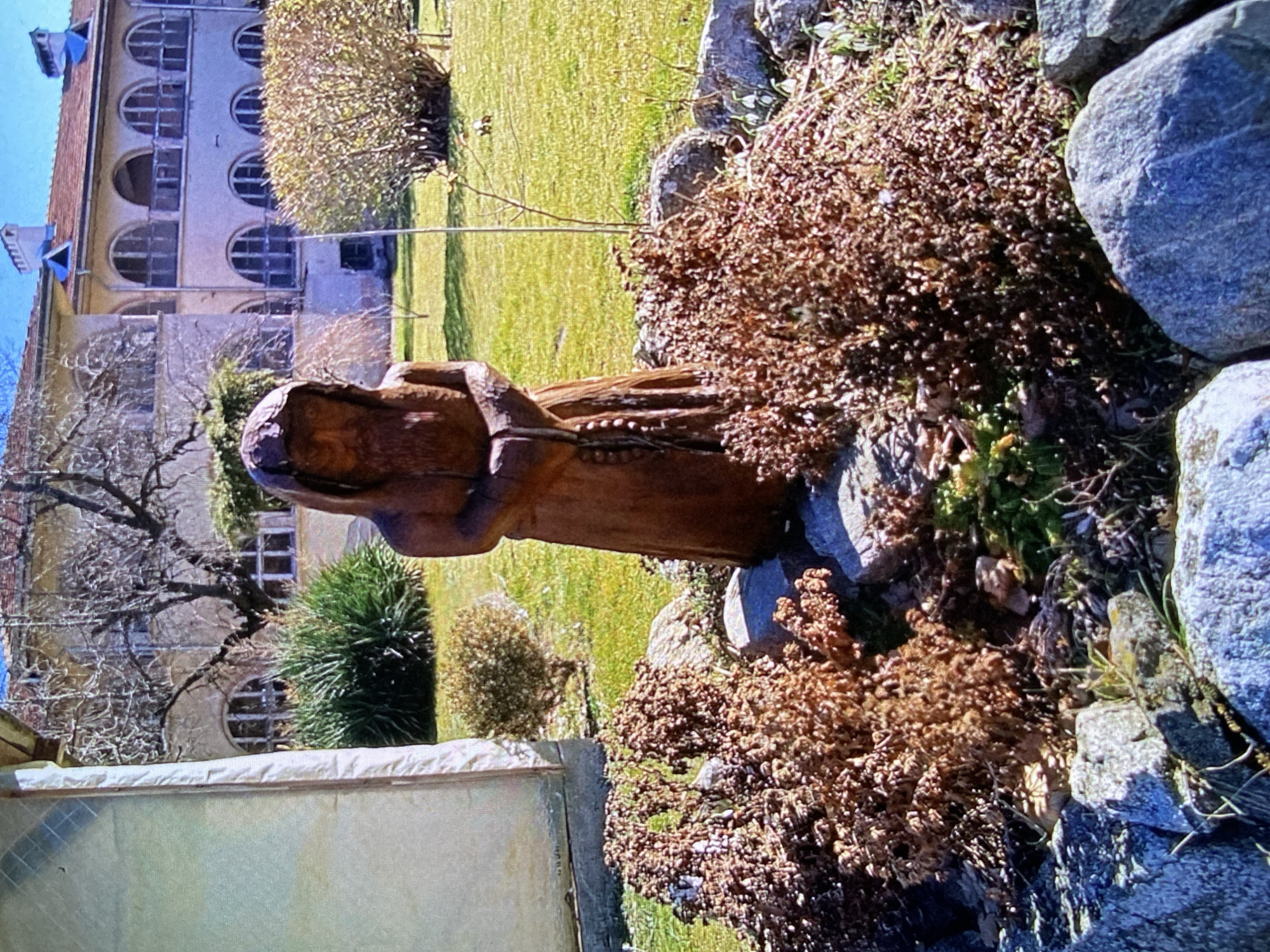 The image displays a sunlit garden scene in Bankya, Bulgaria, dominated by a weathered wooden statue positioned on the right side of the frame. The statue depicts a robed figure, possibly a religious or saintly character, with a serene expression, holding what appears to be rosary beads or a chain. It is set amidst a collection of large rocks and clumps of dry, brown foliage, interspersed with patches of green ground cover.
Behind the statue, a vibrant green lawn stretches across the middle ground. In the background, on the left side of the image, stands a large, old building with a distinct architectural style. It features multiple floors, each adorned with numerous arched windows, and is topped with a red-tiled roof. Two prominent dormer windows with blue decorative accents are visible on the roof. Bare trees with intricate branch patterns are scattered in front of the building, suggesting the season is late winter or early spring.
Closer to the foreground on the left, a dense green bush is visible, and further left, part of a white or translucent garden structure, possibly a cold frame, can be seen. The bright illumination indicates it is daytime. No specific activity is taking place, and there is no visible text in the image.