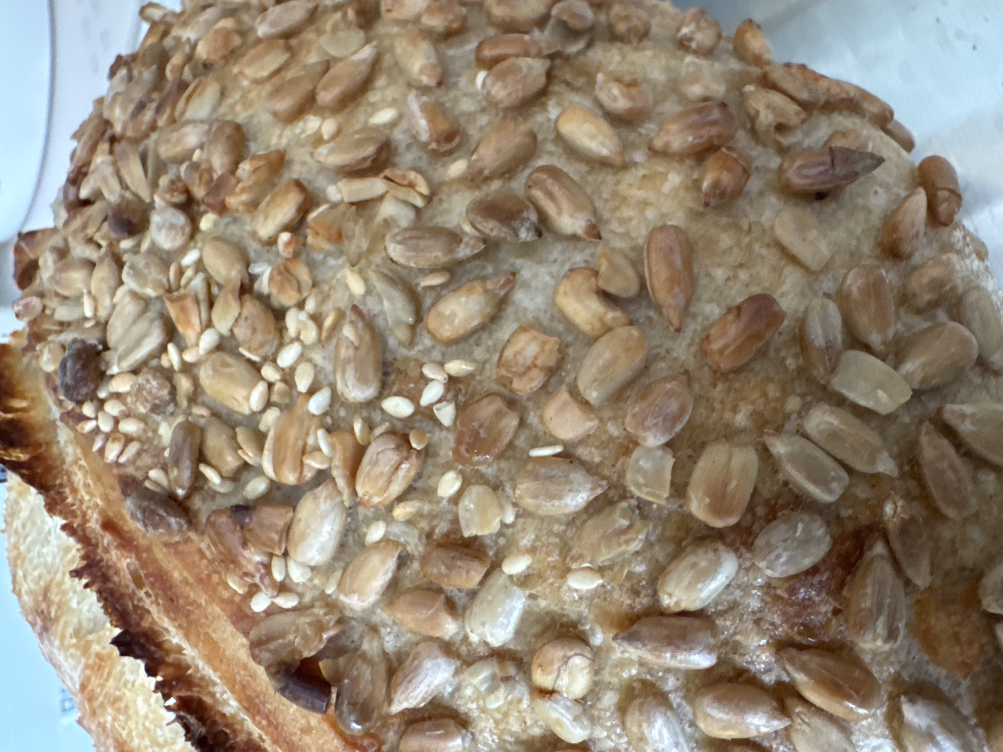 A close-up shot shows a bread roll covered in sunflower and sesame seeds. The surface texture of the roll has a slightly rough appearance, with seeds densely arranged. The roll's color is a light tan with darker brown accents, possibly from baking. No people, actions, interactions or details regarding the environment or location in Высокий, Russia are visible in the provided image.