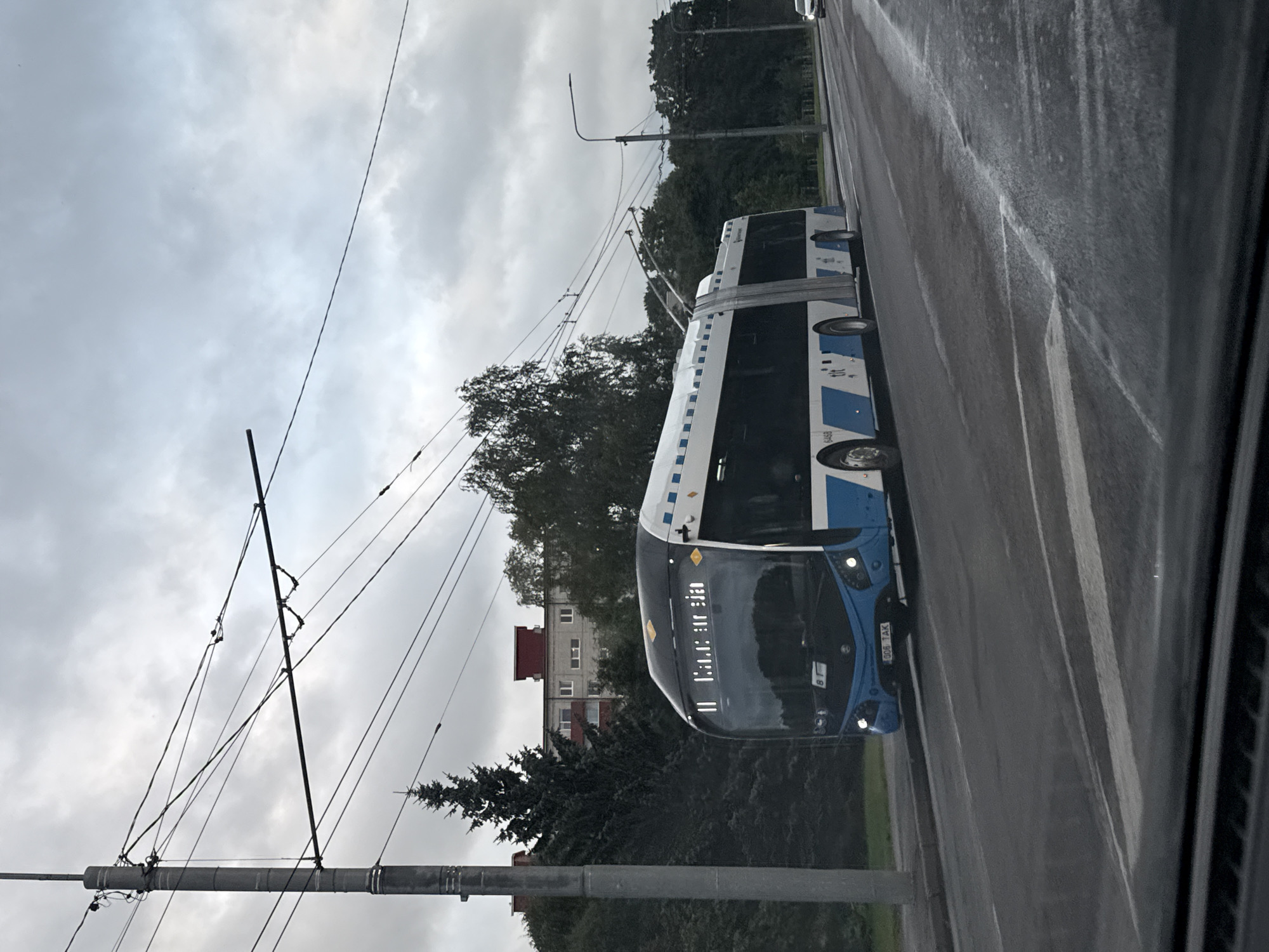A modern, blue and white articulated trolleybus with the license plate "006 TAK" is traveling on a wet asphalt road. The trolleybus has its destination display showing "11 TALLINN-RIA". The scene appears to be in Tallinn, Estonia, given the license plate and the Cyrillic-like characters on the destination display, which is common for public transport in the region. The sky is overcast and cloudy. In the background, there are trees, a multi-story residential building with a red roof, and a lamppost. Overhead wires for the trolleybus are visible. The perspective is from inside a vehicle, looking out through the windshield, indicated by the dark, textured foreground.