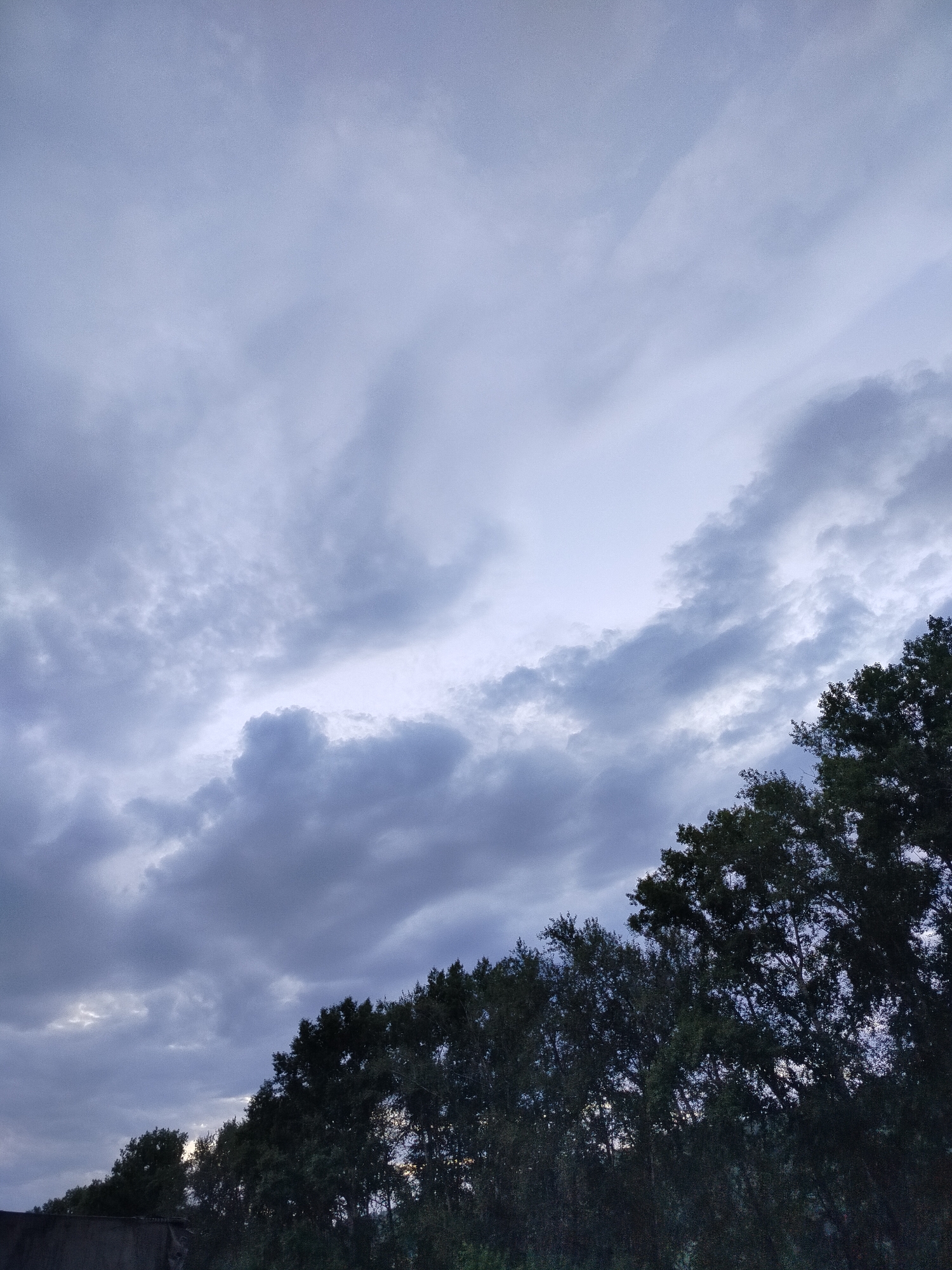 This is a vertical, outdoor, wide-angle, full-color photograph taken from a low angle. The scene captures a dusky sky filled with a variety of clouds, ranging from wispy, thin streaks of white to thicker, darker grey formations. The sky occupies approximately two-thirds of the frame, with the lower third dominated by the dark silhouettes of lush green trees and foliage. A dark, indistinct structure, possibly a rooftop or wall, is visible on the far left edge of the frame, partially obscured by the trees. The overall lighting suggests either early morning or late evening, with the sun not directly visible but implied by the illumination of the clouds. The image is devoid of any human presence or activity.
The photograph was taken in Novosibirsk, Russia, on July 10, 2024, at approximately 21:37 local time (UTC+7). The estimated elevation of the capture location is 138 meters above sea level. The weather conditions were overcast, with a temperature of 19.8 degrees Celsius and a humidity of 71%. The wind was blowing from the west-southwest at 2.1 meters per second.