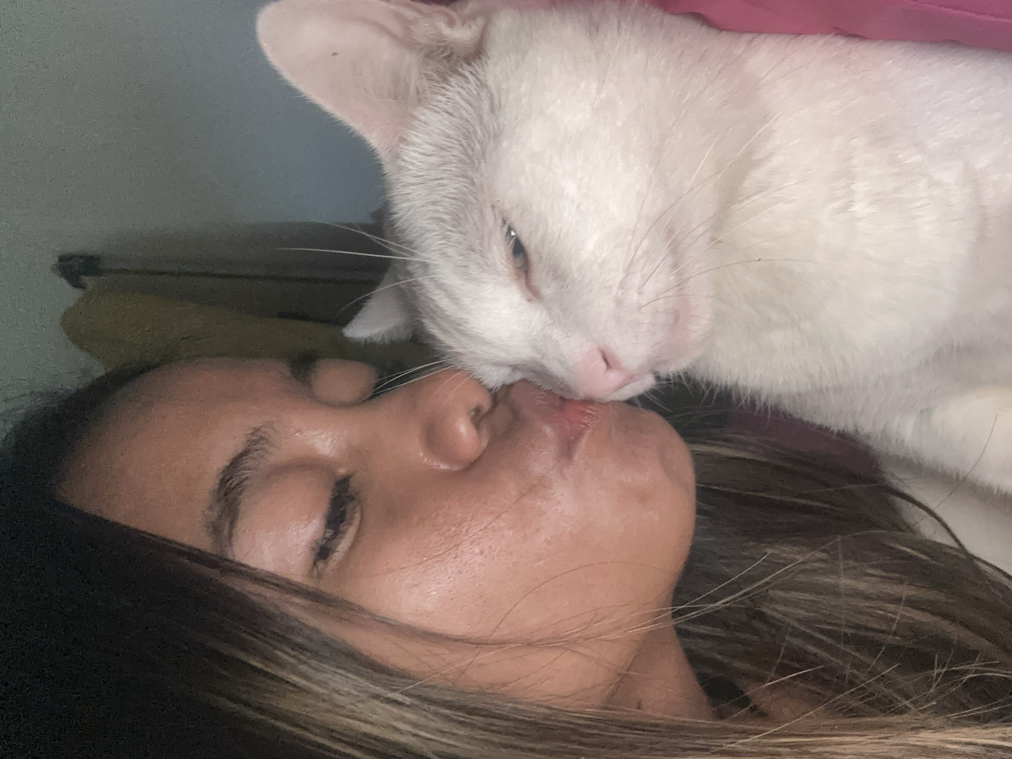 The image shows a close-up of a young woman kissing a white cat on its head. The woman's eyes are closed and her lips are pressed against the cat's fur. The cat's eyes are also partially closed, and it appears to be relaxed. The image is taken indoors, with a dimly lit background. The woman has long, brown hair that falls over her shoulders. The cat is fluffy and white with pink ears and nose. The scene appears to be in a private residence, possibly a bedroom given the soft lighting and the presence of bedding. No specific location in Sukawati, Indonesia is identifiable from the visual information provided.