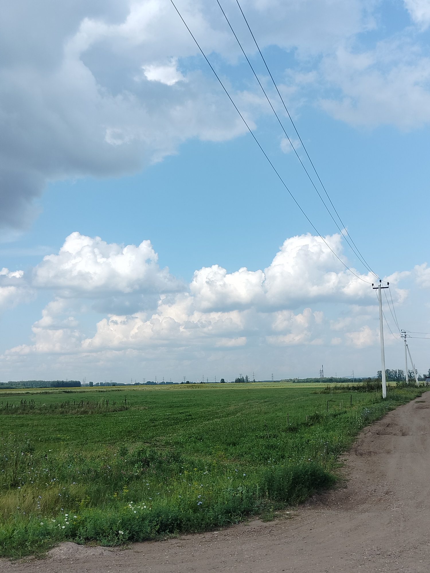 A dirt road runs along the right side of the image, bordered by a green field on the left. Power lines are strung between poles that line the road and extend into the distance. The sky above is a bright blue, dotted with fluffy white and gray clouds. The field is lush and green, with some wildflowers visible along the edge of the road. In the background, a line of trees and more power poles can be seen on the horizon. The scene appears to be located in the village of Pomryaskino, Russia, under a bright, cloudy sky.