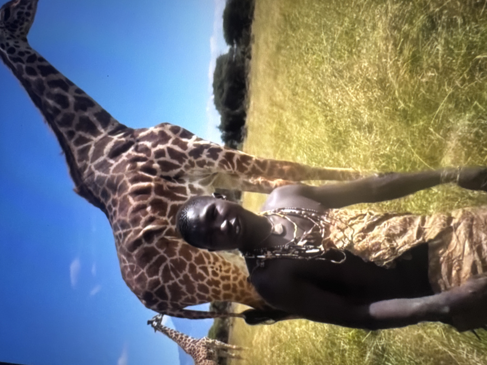 The image depicts a young man with dark skin, wearing traditional attire consisting of a patterned cloth around his waist and multiple necklaces. He is standing in a grassy field under a clear blue sky. Behind him, the lower portion of a giraffe is visible. Another giraffe stands in the background to the left of the frame. The environment appears to be a savanna or grassland, with trees visible in the distance. The image does not contain any elements that suggest it is located in the city of Abuja, Nigeria.