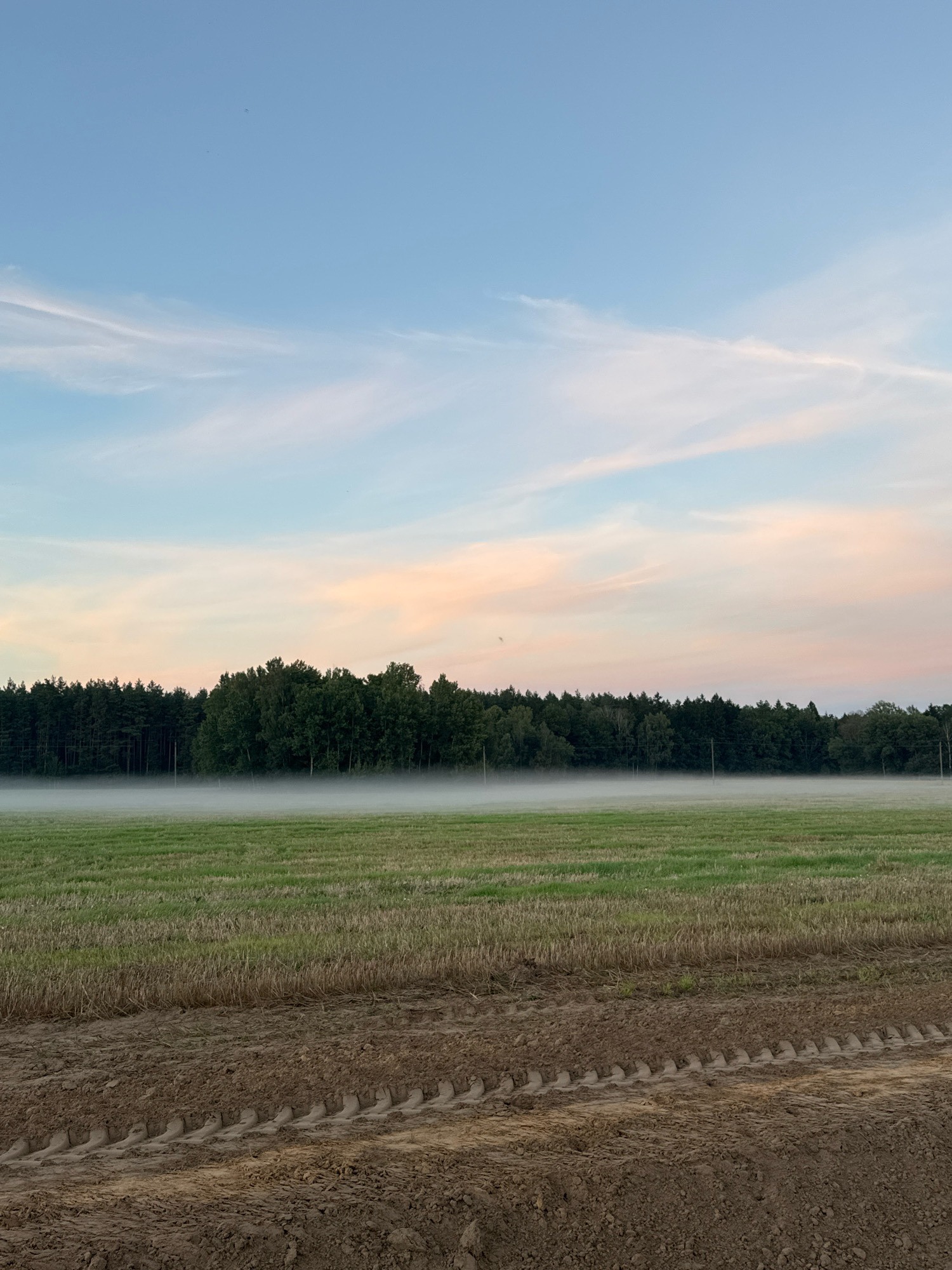 The image depicts a rural landscape at dawn or dusk. In the foreground, there is a patch of tilled brown soil with visible tire tracks from agricultural machinery. Behind this, a field of green grass stretches towards a line of trees. A thin layer of mist hovers above the grass, obscuring the base of the trees. The trees form a dense, dark green line across the middle ground. The sky above is a soft gradient of pale blue at the top, transitioning to pale pink and white clouds lower down, indicating either sunrise or sunset. There are no people or animals visible in the image. The overall scene is serene and natural, characteristic of the agricultural areas found in locations such as Парэцкі сельскі Савет, Belarus.