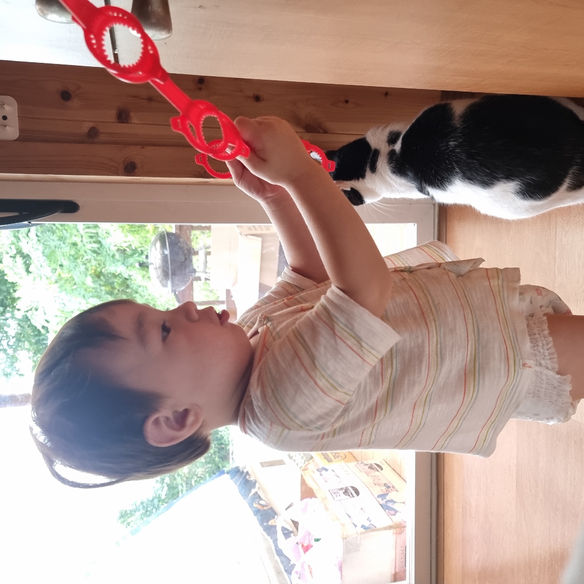 A toddler, wearing a striped t-shirt and a diaper, stands near a doorway and interacts with a black and white cat. The toddler is holding a red plastic bubble wand, which appears to have multiple loops. The cat is looking up at the wand. In the background, there is a window with a view of greenery and outdoor furniture, as well as some boxes. The scene takes place indoors on a wooden floor. This location is identified as Dunnae-myeon, South Korea.