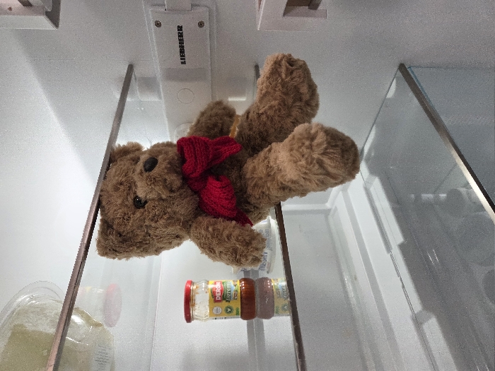 The image displays the interior of a white, clean Liebherr refrigerator. A medium-brown plush teddy bear with a red knitted bow tied around its neck is positioned centrally, seated on a clear glass shelf. Its legs hang over the shelf's front edge into the empty space below. To the left of the teddy bear, on the same shelf, a glass jar with a red lid and a yellow label identifies its contents as "DERONI Lutenica." A translucent plastic container holding a light-colored substance is visible on a higher shelf in the upper left background. The refrigerator's right interior wall features a white plastic housing with the brand name "LIEBHERR" embossed in black capital letters. Another empty clear glass shelf is visible below the teddy bear. No discernible features within the image indicate a specific location in the city of Varna, Bulgaria.