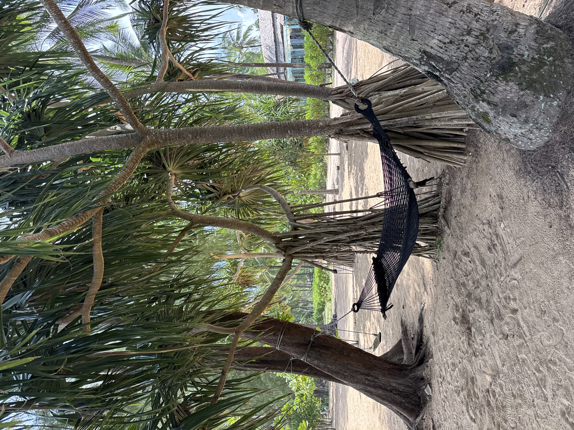 A black hammock is strung between trees on a sandy beach in Ban Khuk Khak, Thailand. The hammock is situated in the foreground, with its mesh weave clearly visible. Behind the hammock, several trees with thick, gnarled trunks and long, spiky leaves are prominent. The ground is covered in light-colored sand, with some scattered debris and footprints. In the background, lush green vegetation and palm trees stretch towards a building with a thatched roof and a light-colored facade. The sky is partially visible and appears to be overcast with patches of blue. A small swing hangs from one of the trees to the left of the hammock.