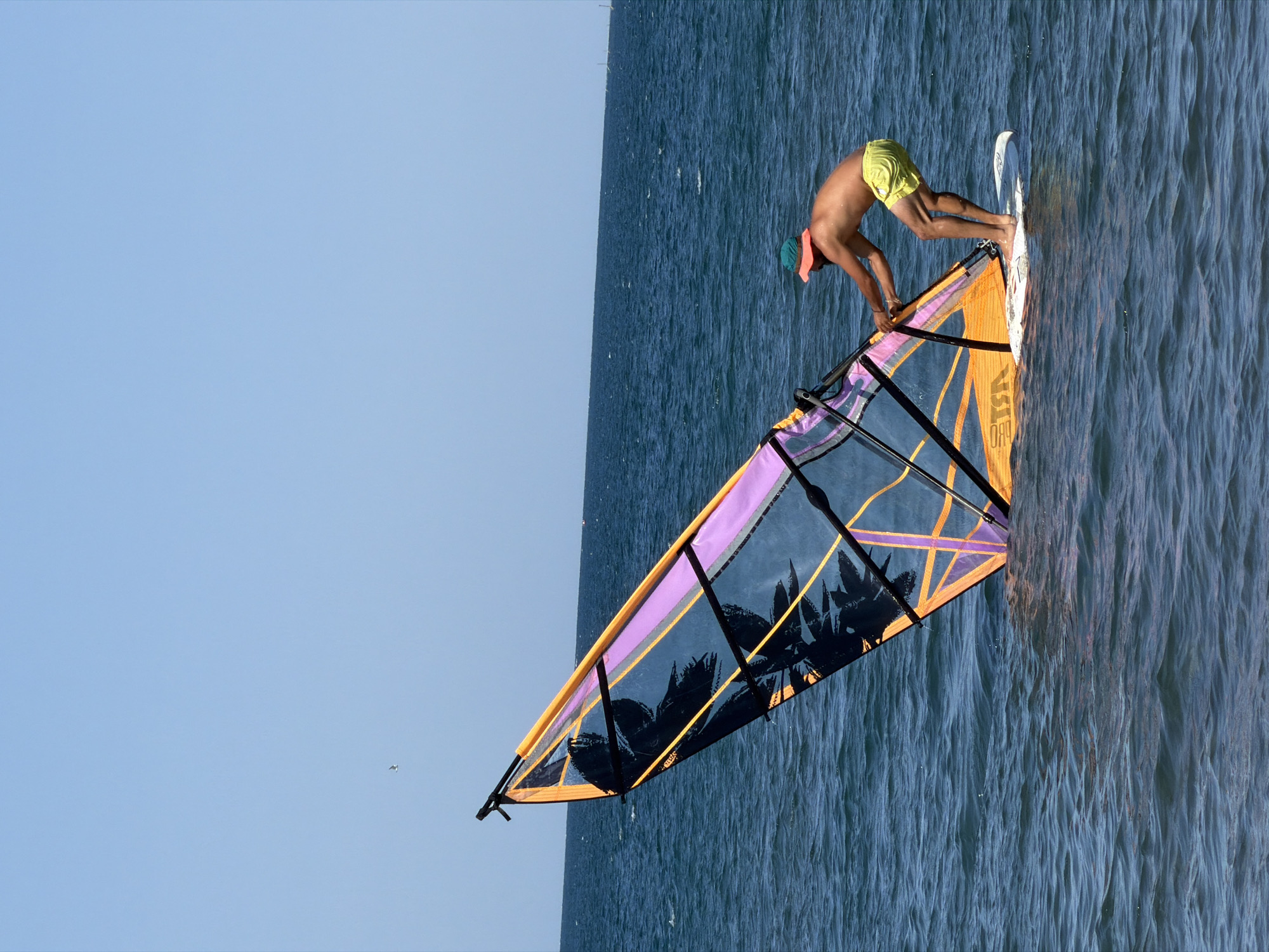 A shirtless man wearing yellow swim shorts and a teal bucket hat stands on a white surfboard, windsurfing in the dark blue ocean. The man is holding onto the boom of a large, colorful windsurfing sail. The sail is predominantly transparent with black, orange, and purple accents, featuring a black silhouette pattern that resembles leaves. The ocean is choppy under a clear, bright blue sky. In the distance, a thin line of the horizon is visible, suggesting open water. A single bird is visible in the upper left quadrant of the sky. The image is shot from a medium distance, capturing the activity on the water.