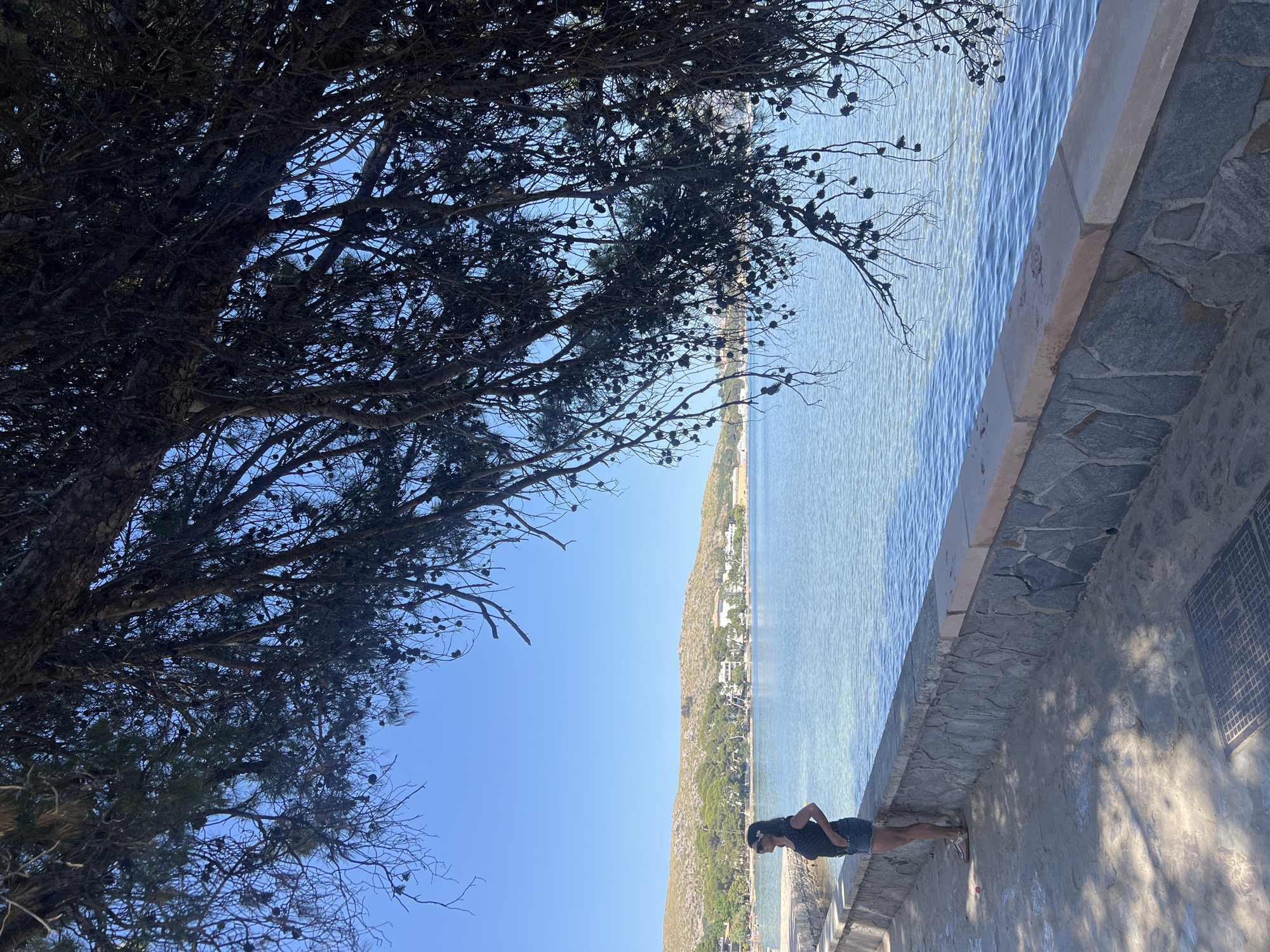 A woman stands on a stone-lined promenade overlooking a tranquil bay. She is wearing a dark patterned top and denim shorts, with a flower tucked behind her ear. The clear turquoise water stretches to a distant shoreline dotted with buildings and lush green hills. The scene is framed by the dark, shadowy branches of a pine tree, its cones hanging down. The sky is a bright, cloudless blue. The location is the Port de Pollença, Mallorca, Spain.