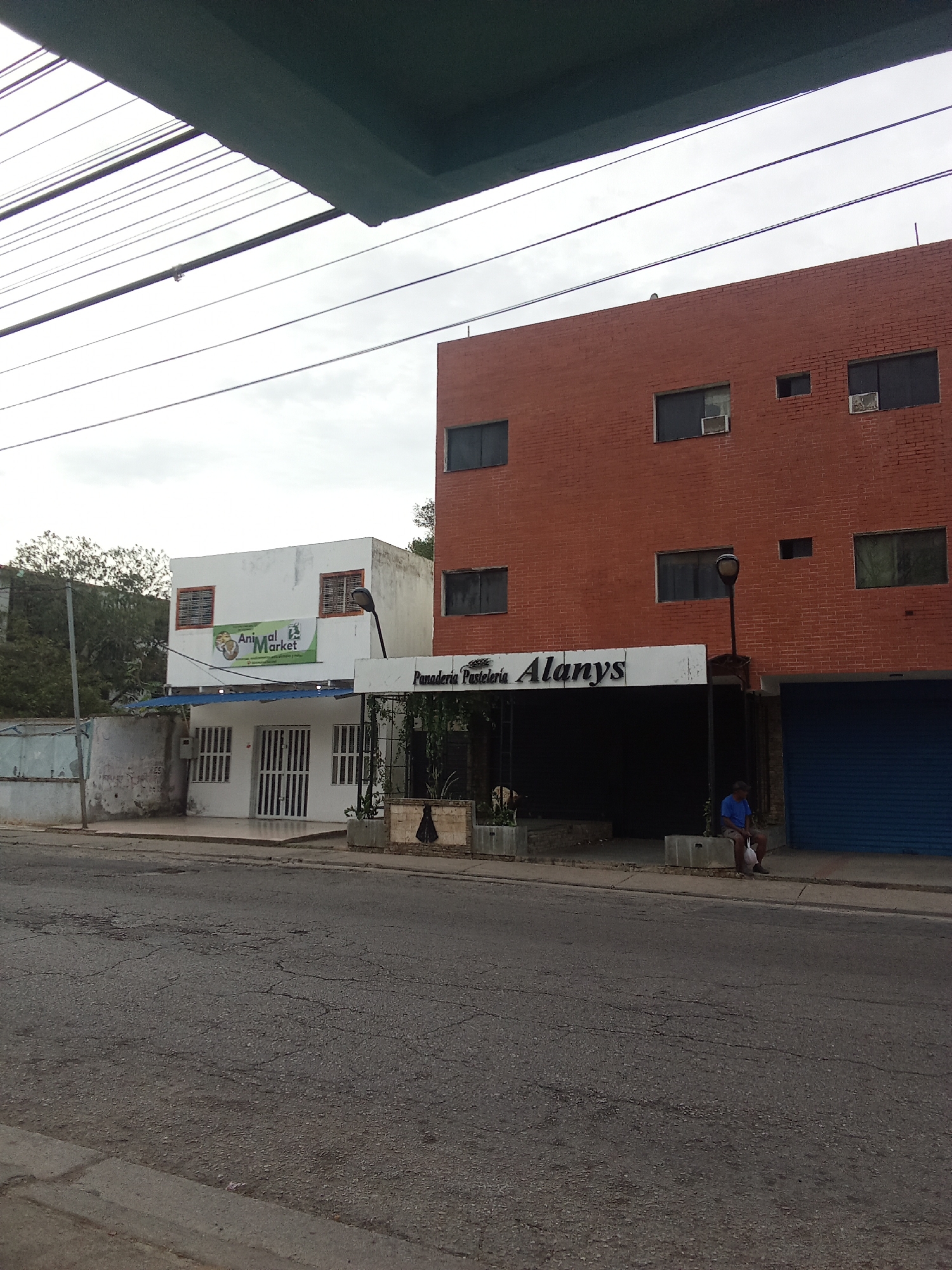 The image depicts a street scene in Altagracia, Venezuela. On the left is a white building with a sign reading "Animal Market." Adjacent is a building with a sign reading "Panadería Pastelería Alanys" in front of it. A brick building is next to the Panadería. A man is sitting on a concrete block in front of the brick building. Overhead are electrical wires. The sky is overcast. The street is asphalt.