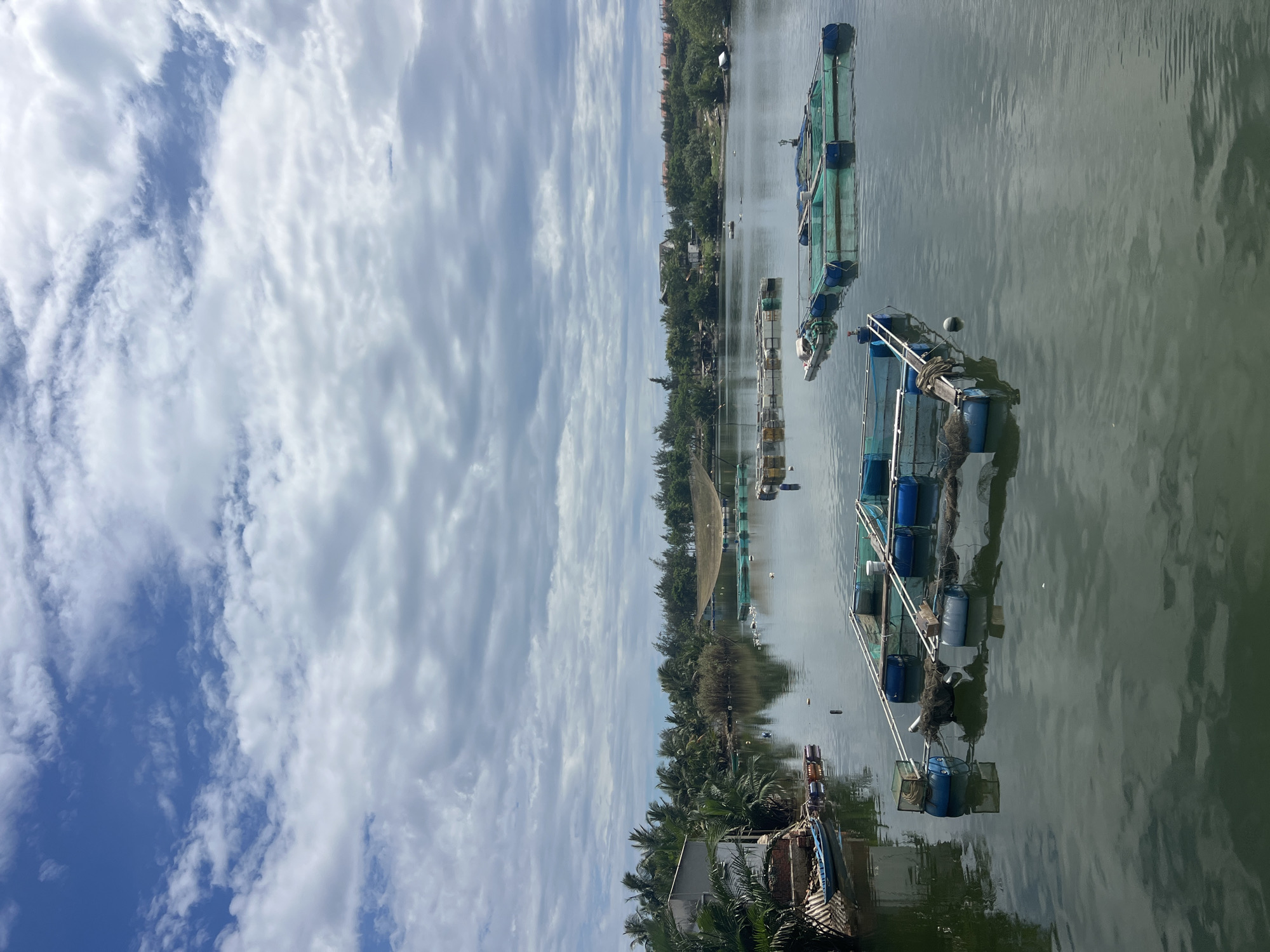 The image depicts an aquaculture farm in Hoi An, Vietnam. The scene is dominated by a body of water, likely a river or estuary, where numerous floating fish cages are visible. These cages, constructed with blue buoys and green netting, are arranged in clusters and rows. In the foreground, a prominent cage structure is detailed, featuring blue barrels, wooden planks, and netting. The water reflects the cloudy sky, creating a muted, overcast atmosphere.
On the left bank of the water, a white building with a corrugated roof stands amidst lush green palm trees. A small blue boat is moored near the building. Beyond the water and the immediate vegetation, a line of trees and some distant buildings form the backdrop. The sky above is filled with a dramatic display of white and gray clouds against patches of blue.
The overall impression is that of a working aquaculture facility, integrated into a coastal or riverside landscape. The image captures a moment of stillness, with no visible human activity or specific interactions taking place. The environment appears calm, with the water surface showing gentle ripples. The context of Hoi An, Vietnam, suggests a tropical or subtropical climate, consistent with the presence of palm trees and the general lushness of the vegetation.